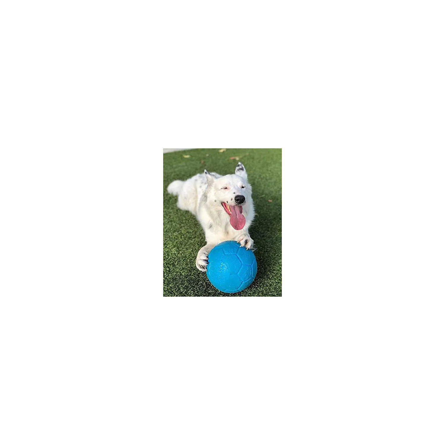 Pelota Flotante para Perros con Rebote Activo Color Azul Océano 5