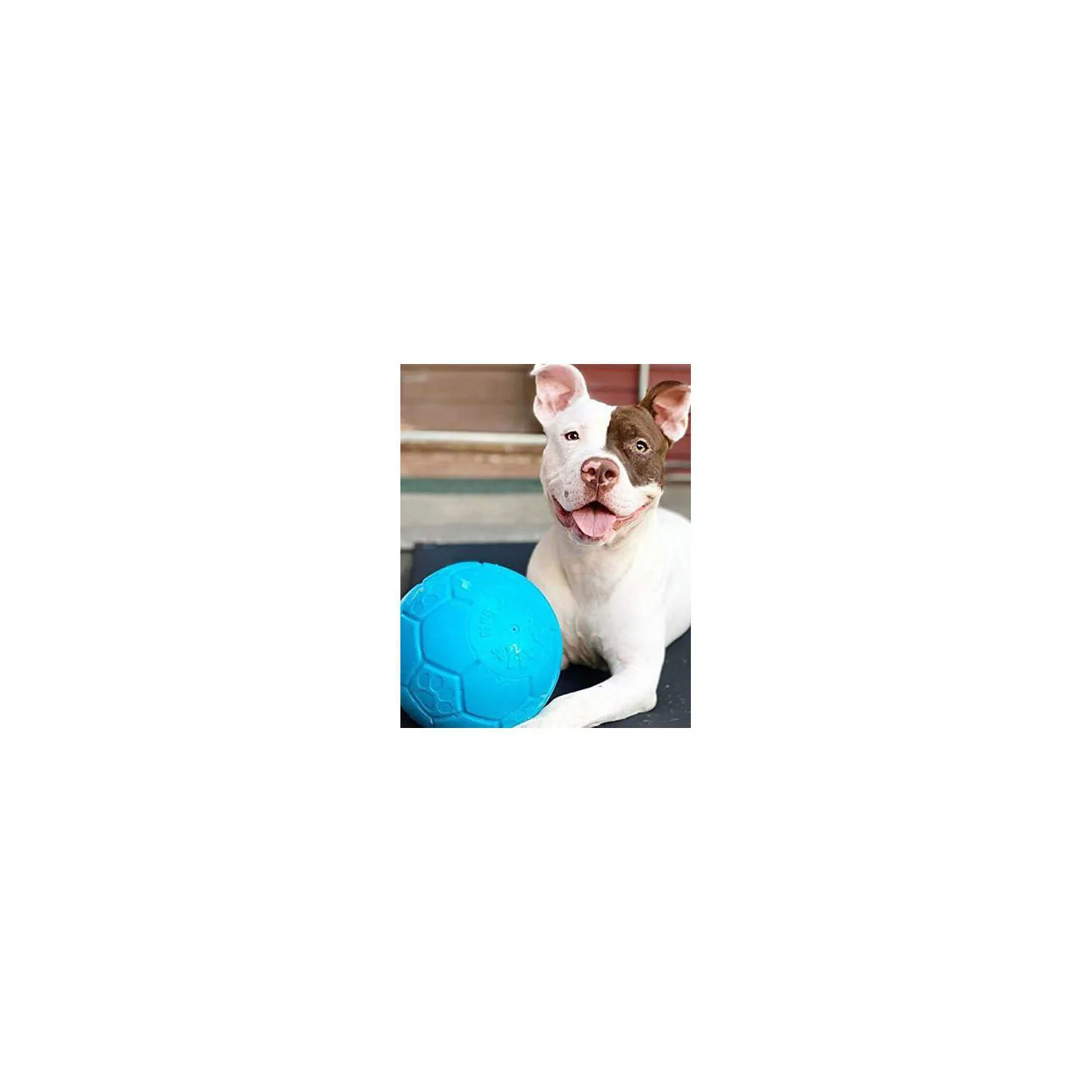 Pelota Flotante para Perros con Rebote Activo Color Azul Océano 6