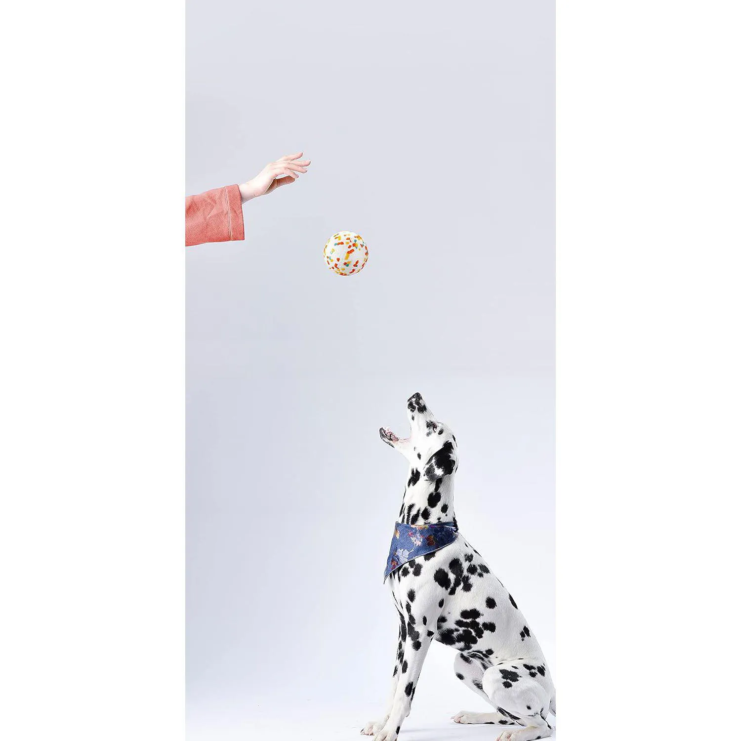 Pelota Resistente Para Perros Masticadores Agresivos Con Alta Elasticidad 8
