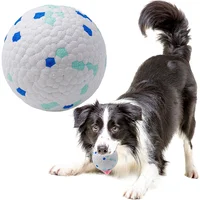 Pelota Resistente Para Perros Flotante Ideal Para Juegos Al Aire Libre