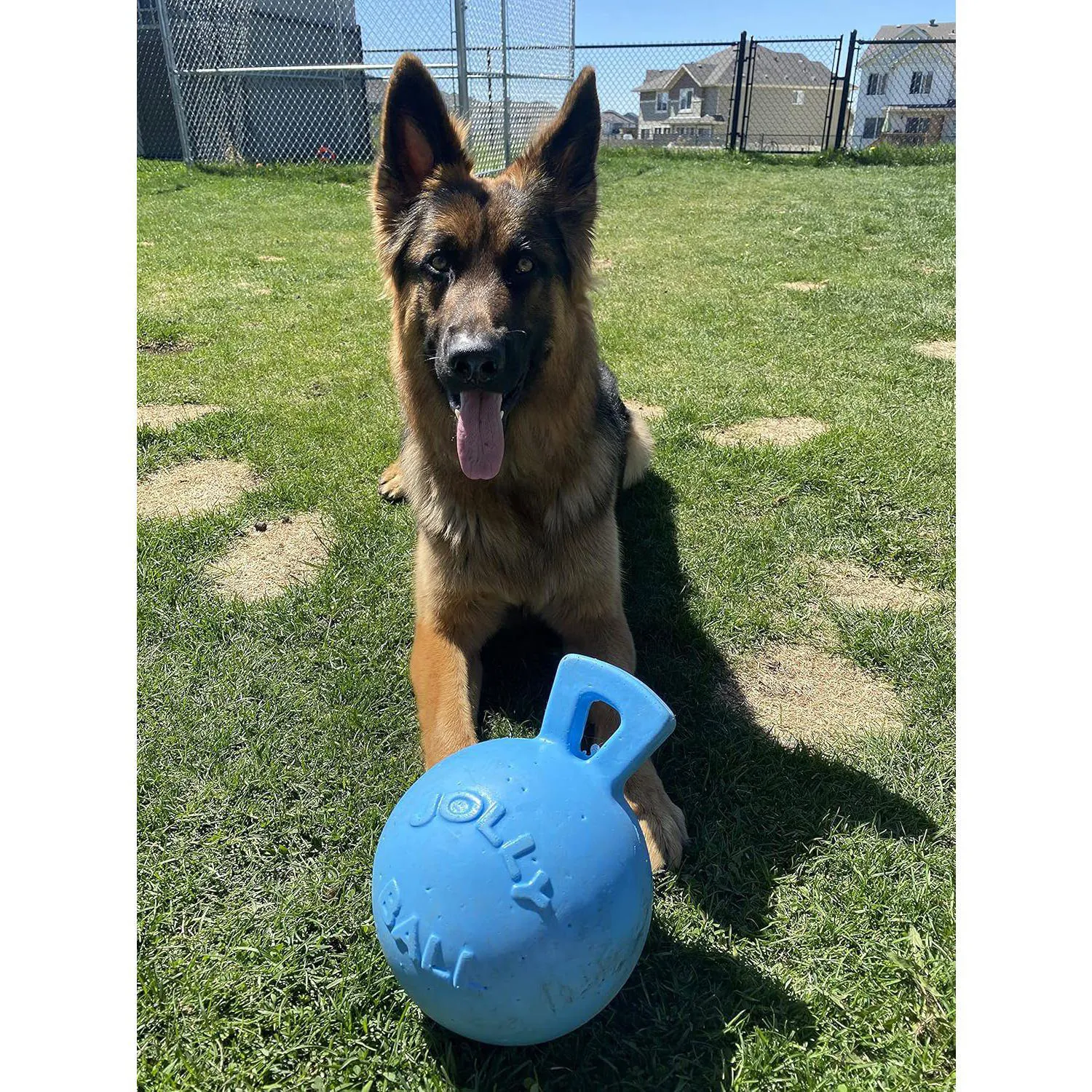Pelota Jolly Pets Para Perros Con Asa Integrada Y Flotación Resistente 3
