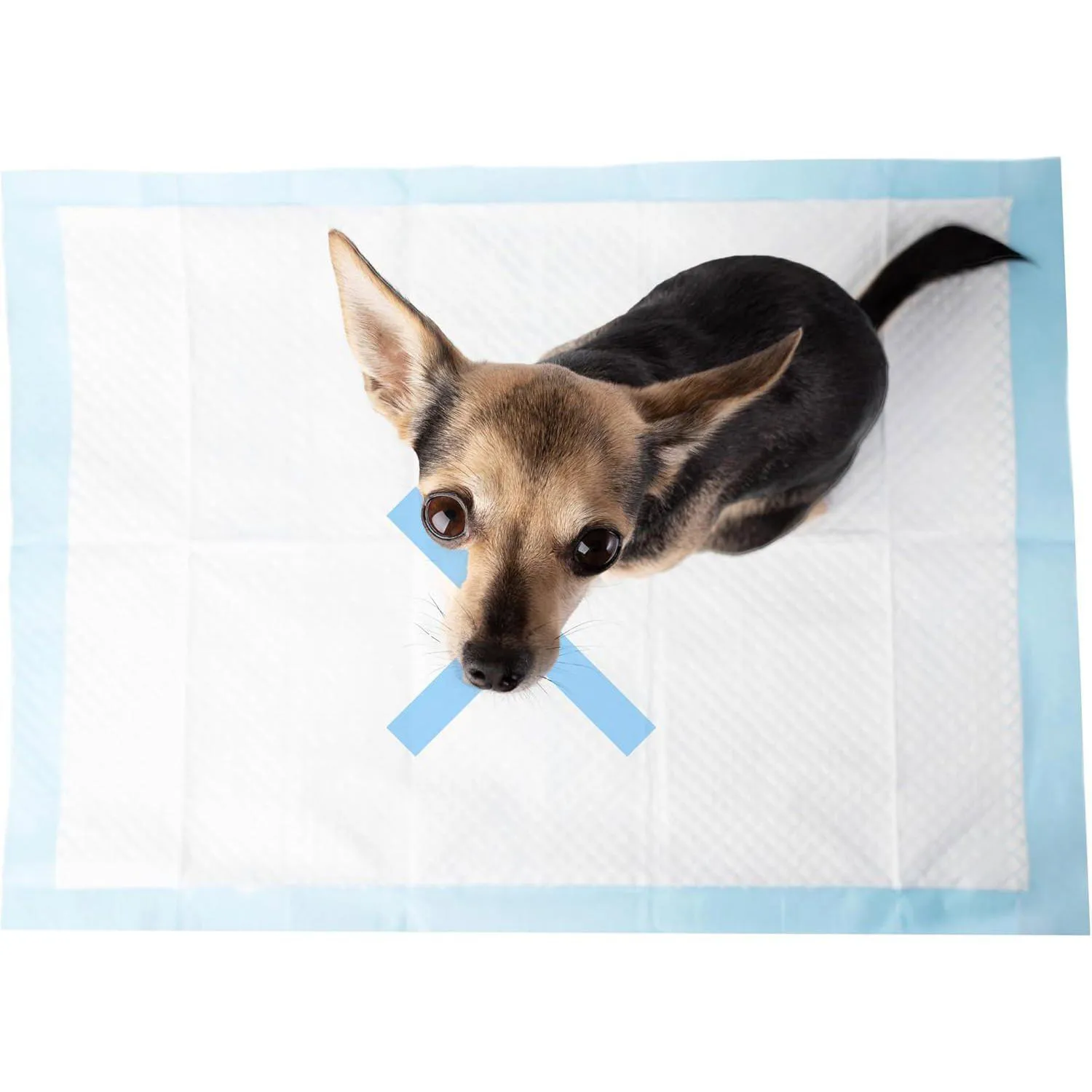 Almohadillas Extra Absorbentes para Cachorros con Adhesivo Antideslizante
