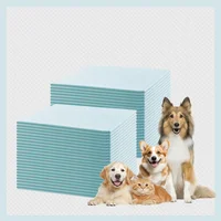 Almohadillas para Cachorros con Absorción Avanzada y Protección Antifugas