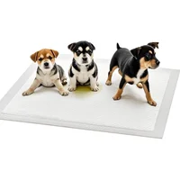 Almohadillas Absorbentes Para Perros Con Gel Neutralizador De Olores