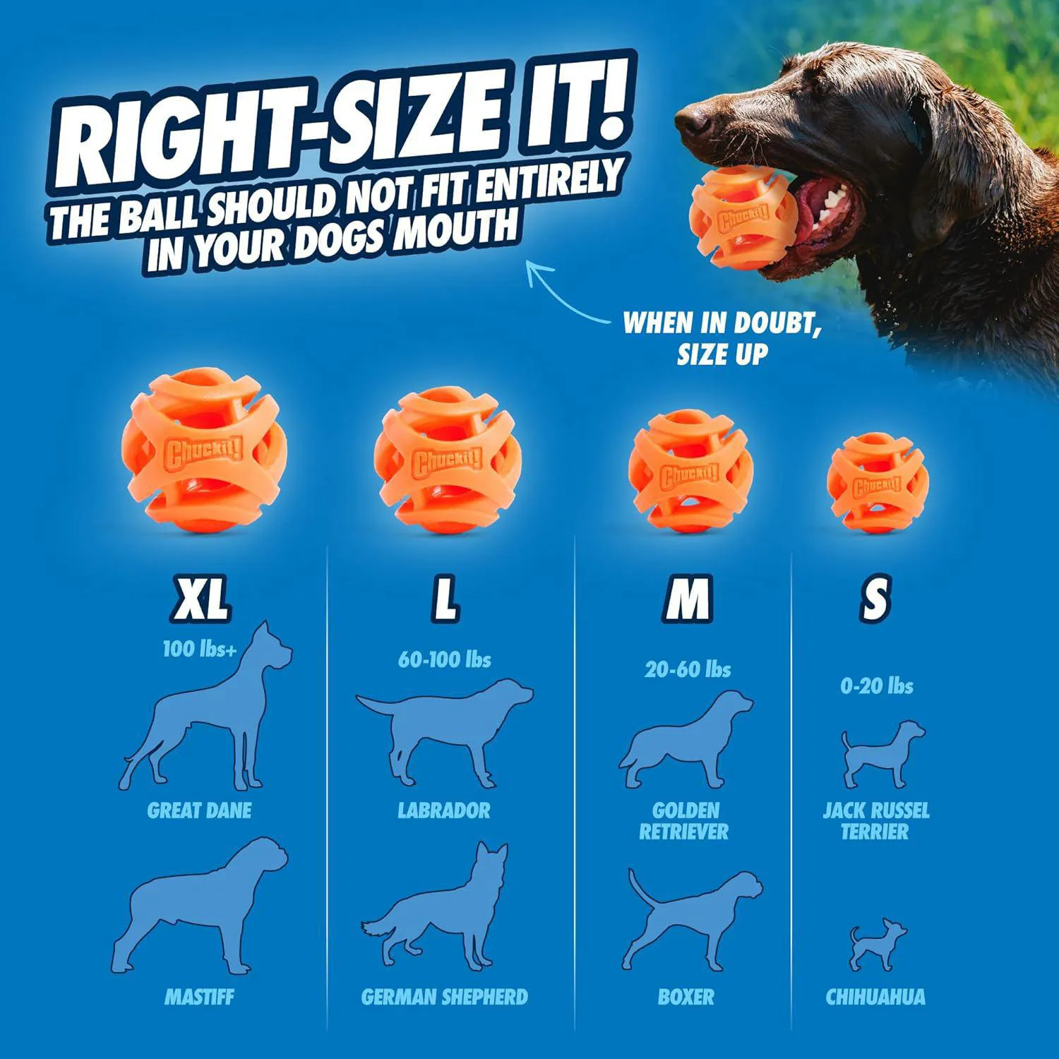 Pelota para Perros con Diseño Perforado y Rebote Activo Color Naranja 6