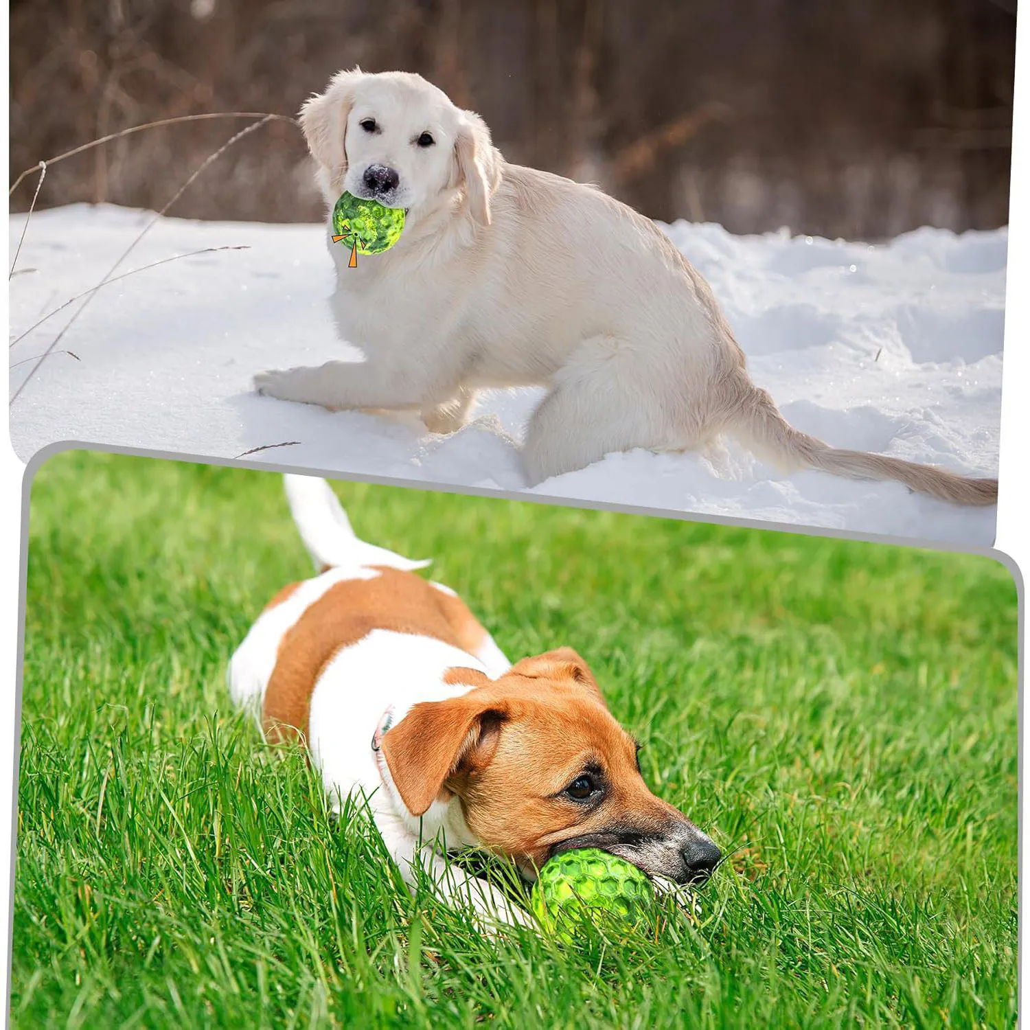 Pelota Chirriante Para Perros Resistente Con Sabor A Carne Ideal Para Masticadores 4
