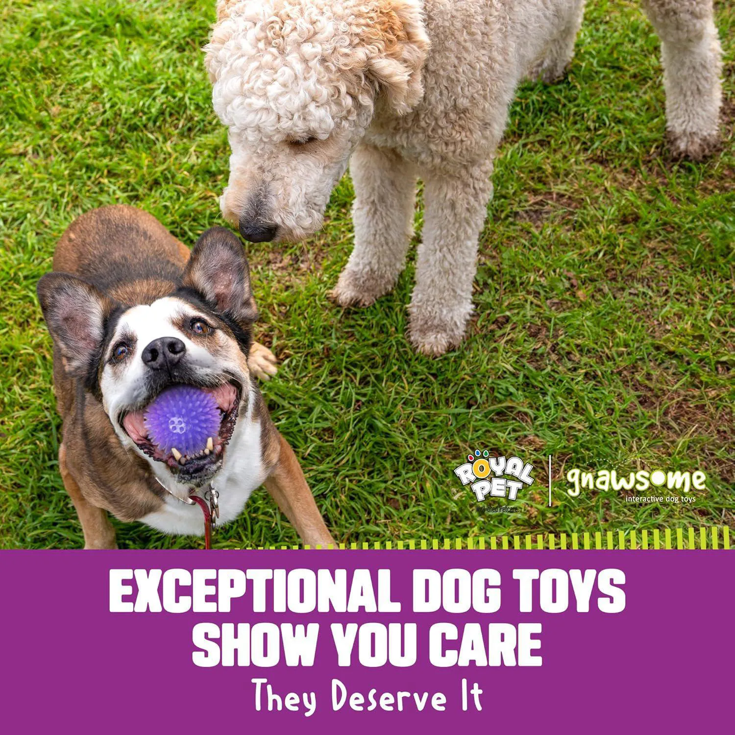 Pelota Gnawsome con Luz y Sonido para Perros con Textura Dental Activa