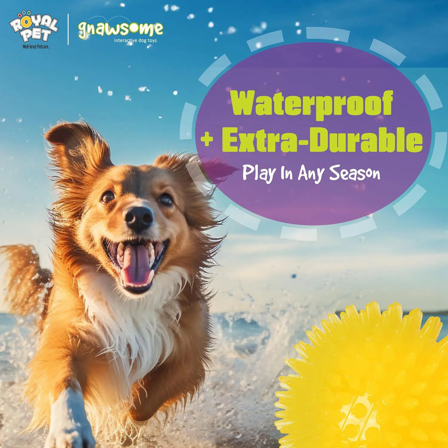 Pelota Gnawsome con Luz y Sonido para Perros con Textura Dental Activa 5