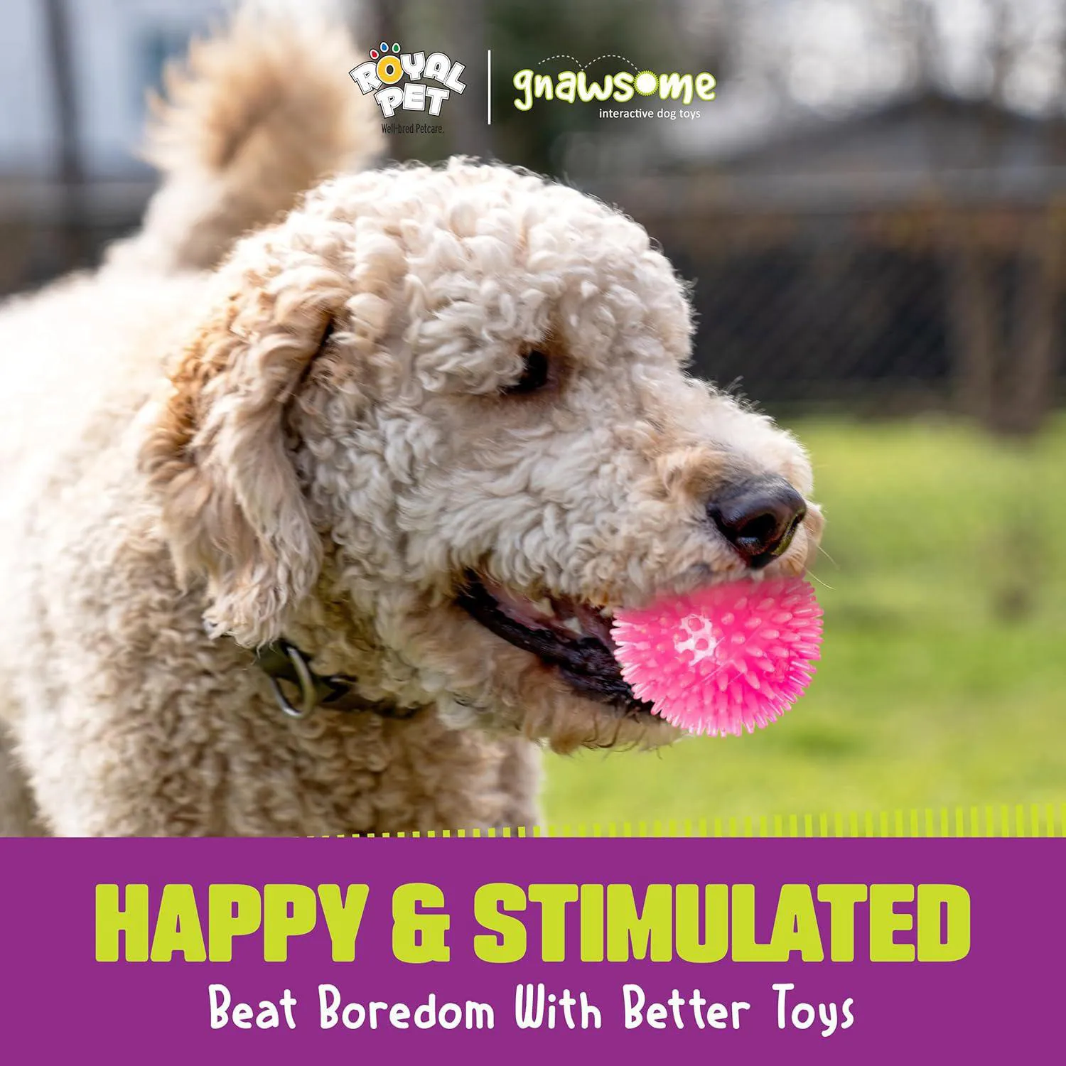 Pelota Gnawsome con Luz y Sonido para Perros con Textura Dental Activa 6