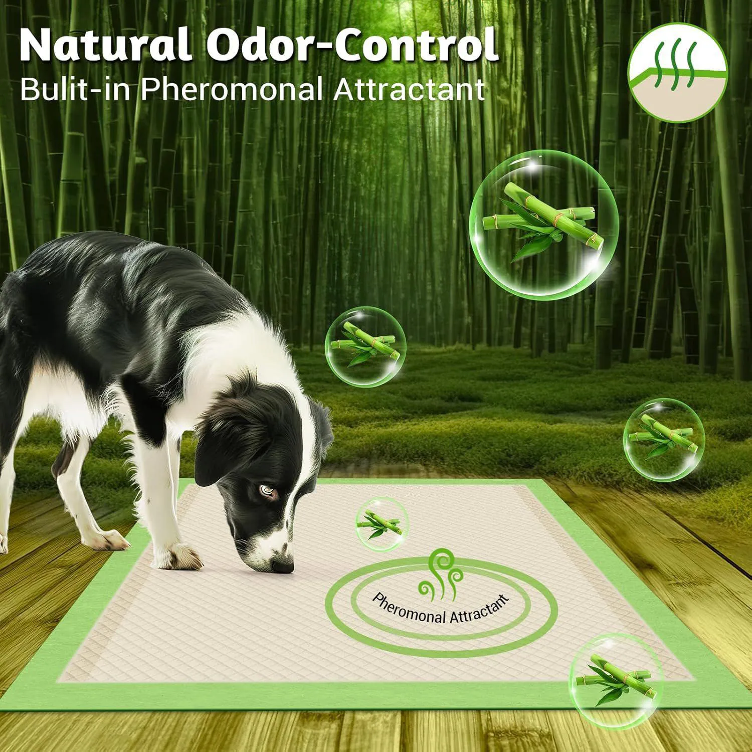 Almohadillas XXL para Cachorros con Bambú Natural y Adhesivo Seguro 3