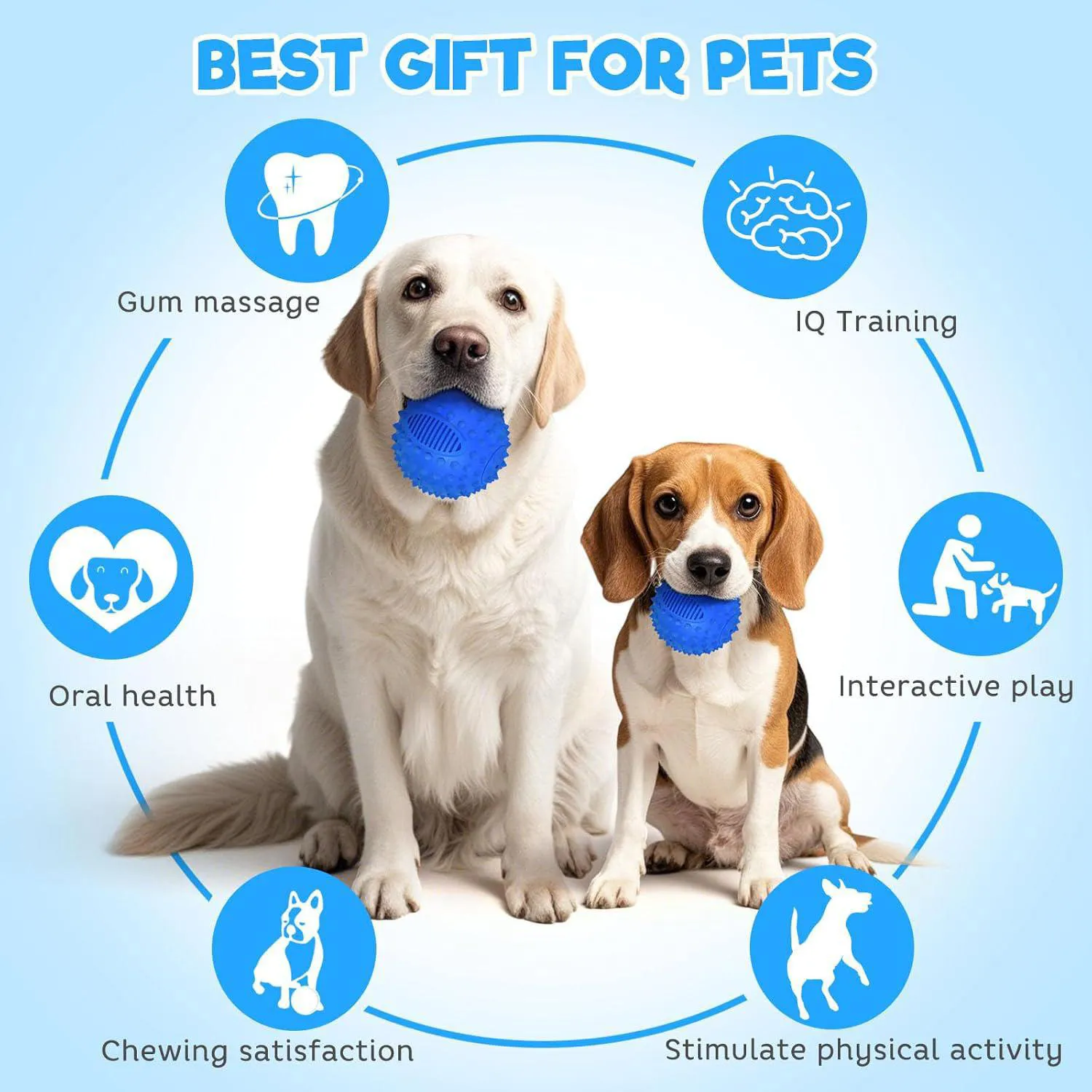 Pelota Chirriante Para Perros Petizer Resistente Flotante Con Sabor A Carne 4