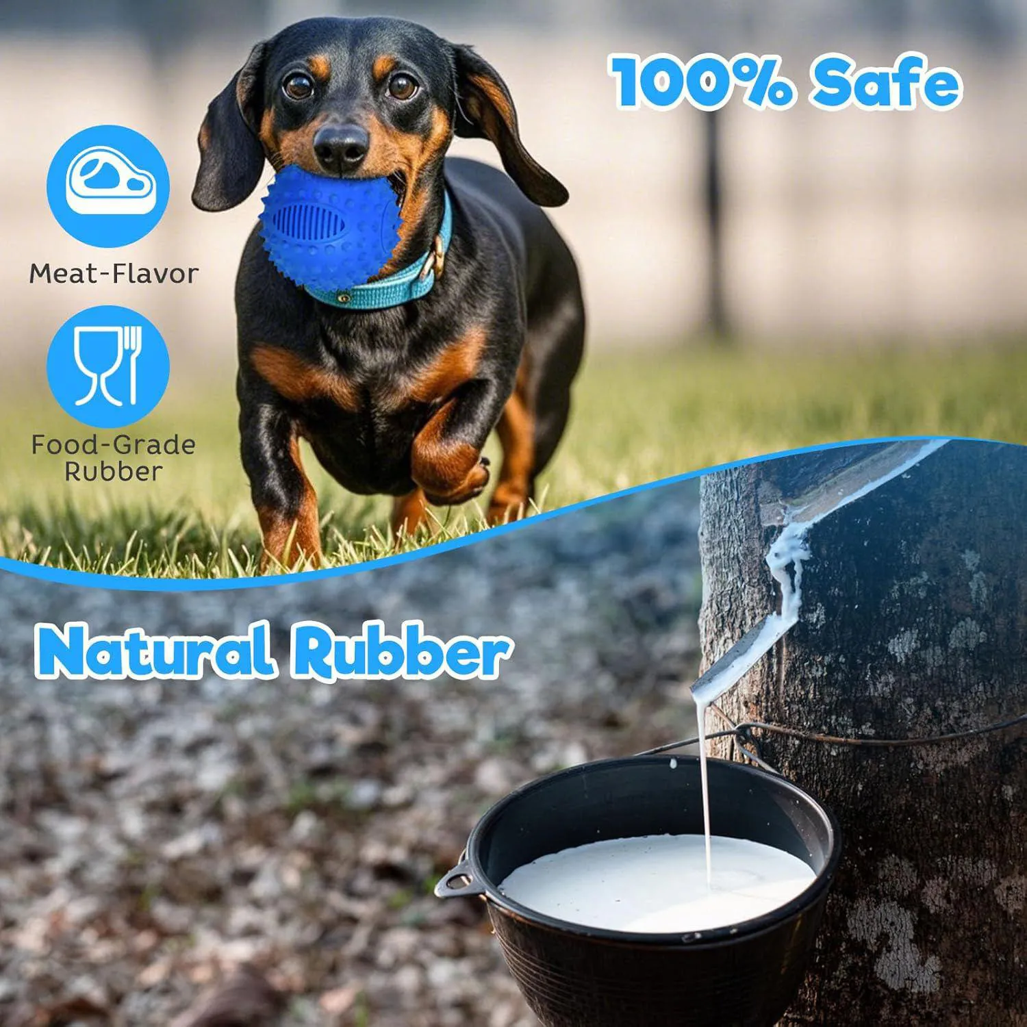 Pelota Chirriante Para Perros Petizer Resistente Flotante Con Sabor A Carne 7