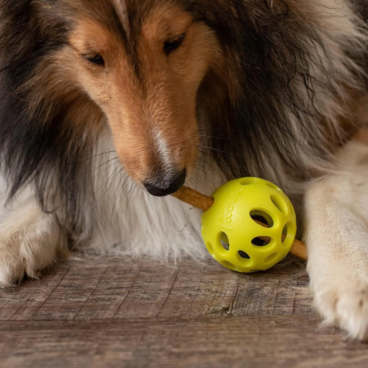 Pelota Interactiva Para Perros Con Compartimentos Para Golosinas Limpieza Dental 5
