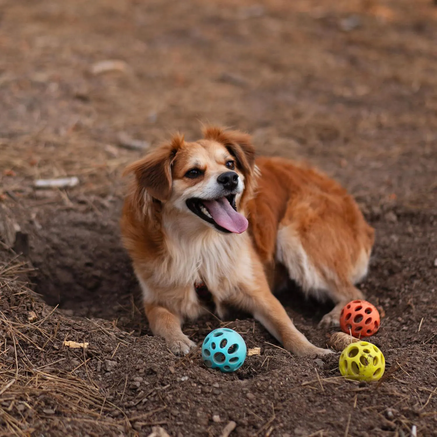 Pelota Interactiva Para Perros Con Compartimentos Para Golosinas Limpieza Dental 7