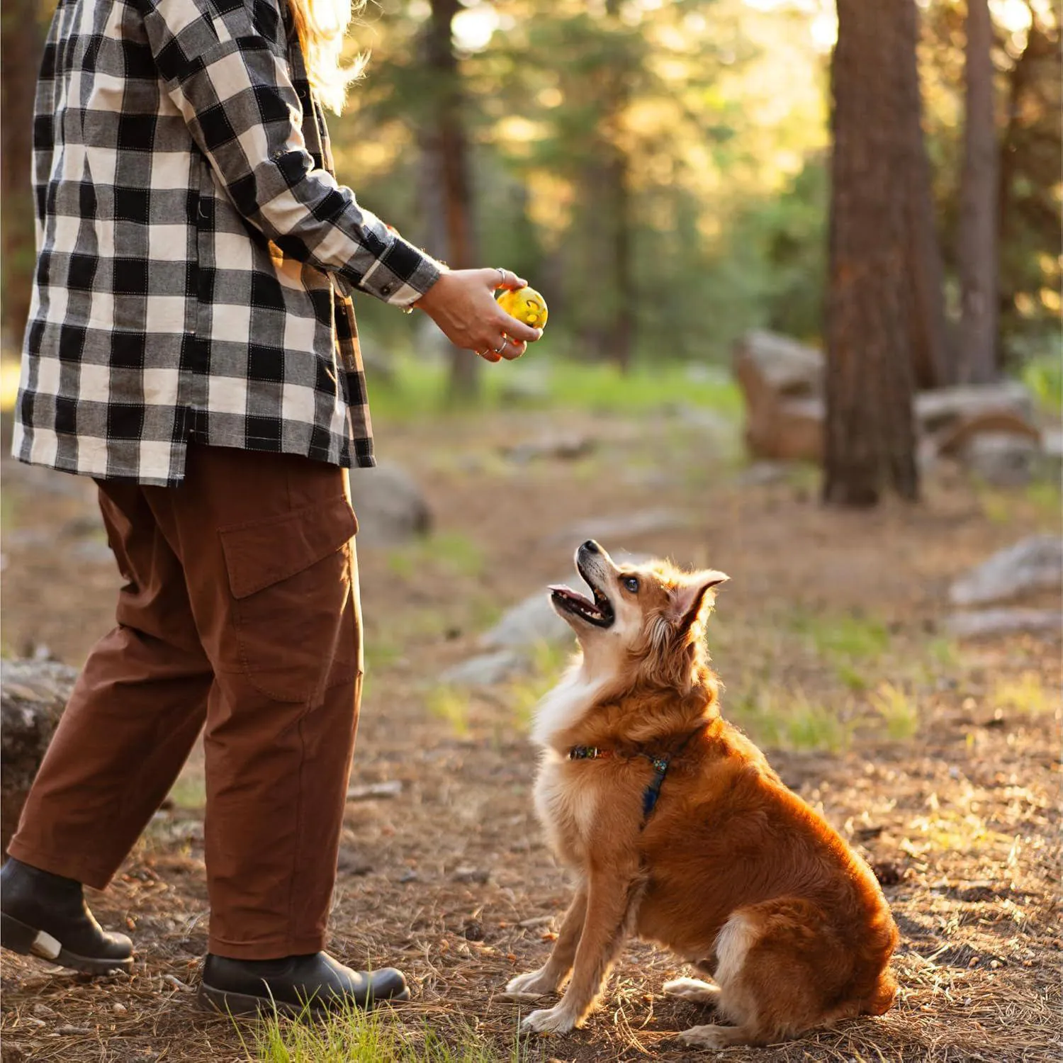 Pelota Interactiva para Perros con Compartimento para Golosinas y Limpieza Dental 7