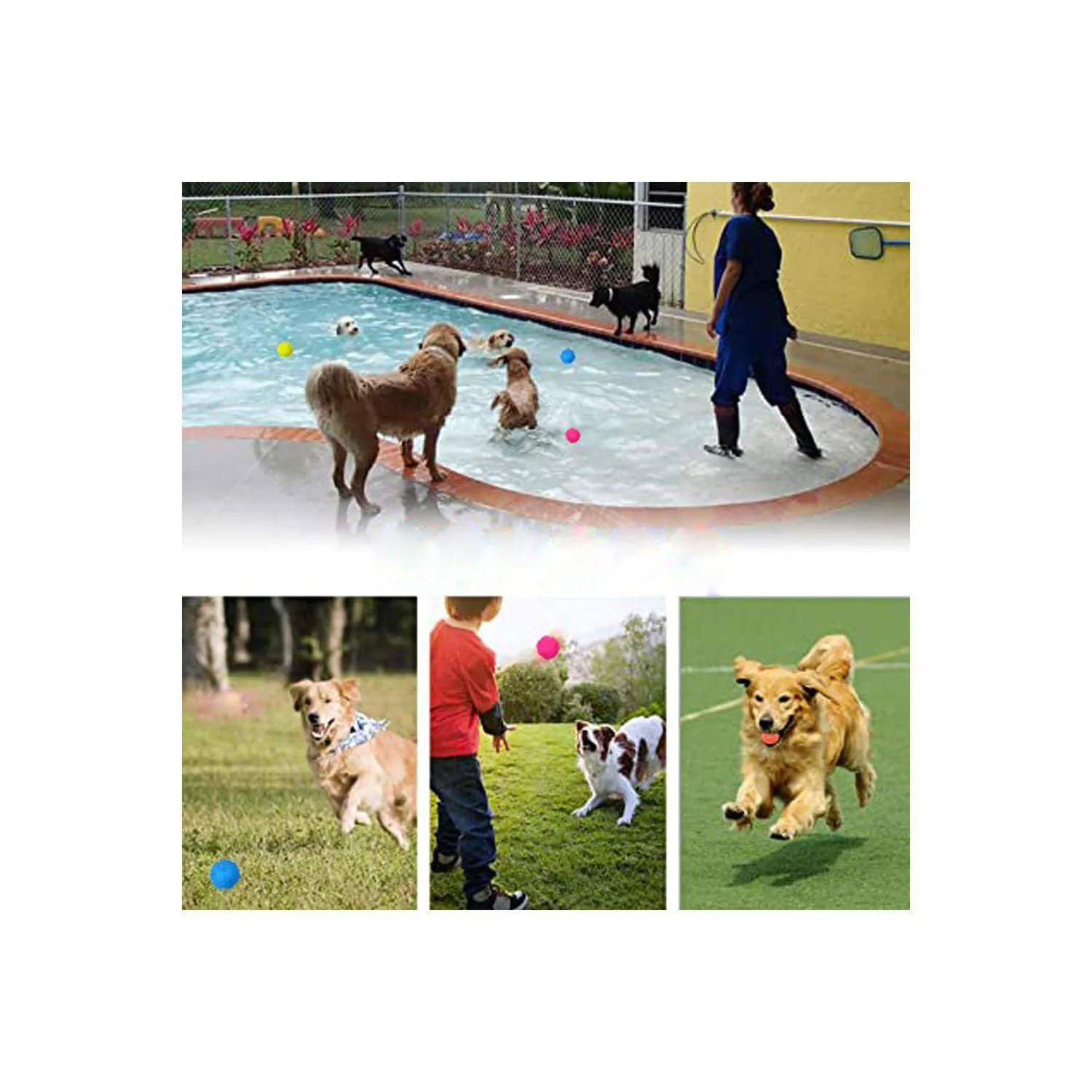 Pelotas Chirriantes Para Perros Paquete De 3 De Goma Natural Flotantes Y Seguras 6
