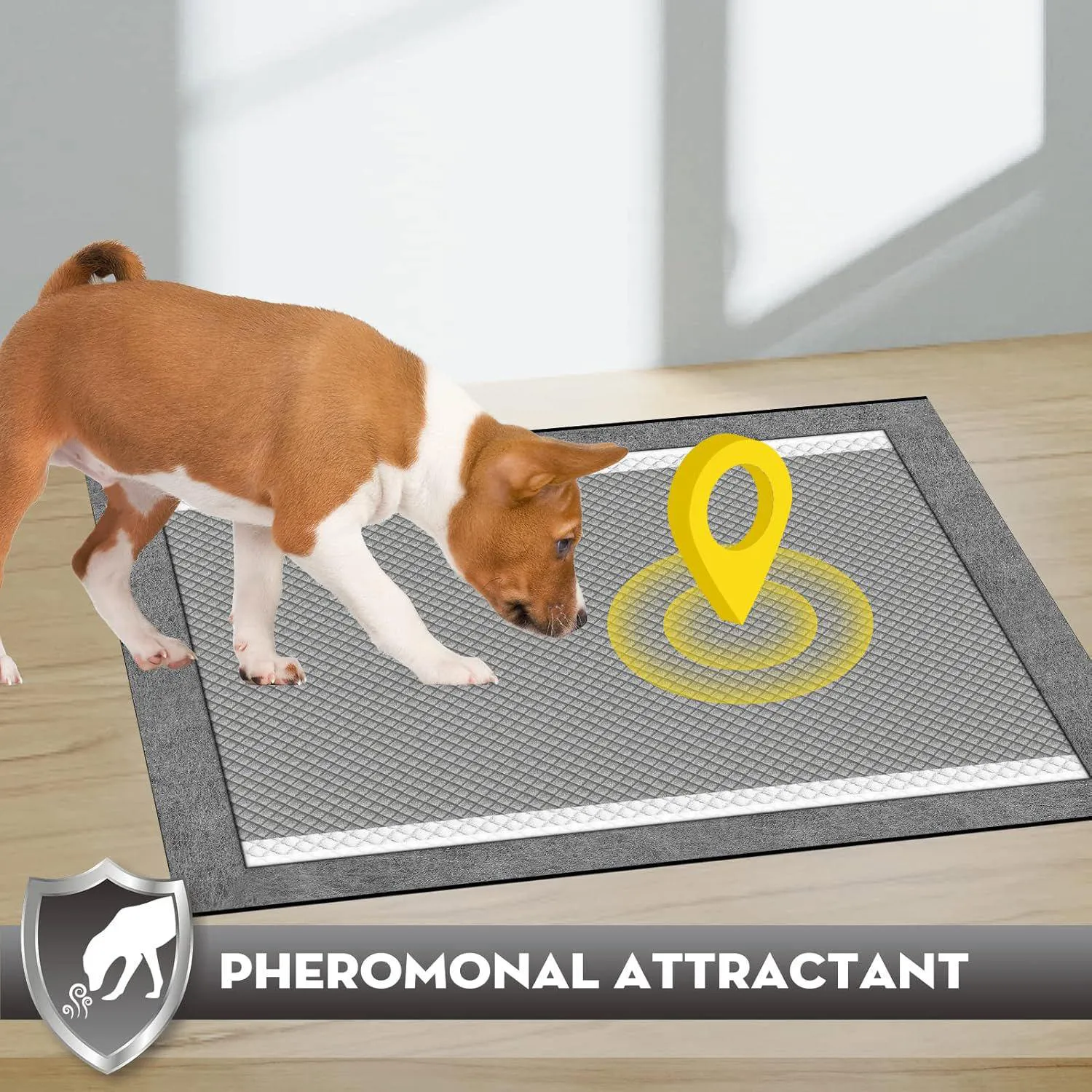 Almohadillas XL Para Perros Con Carbón Activado Y Pestañas Adhesivas 7