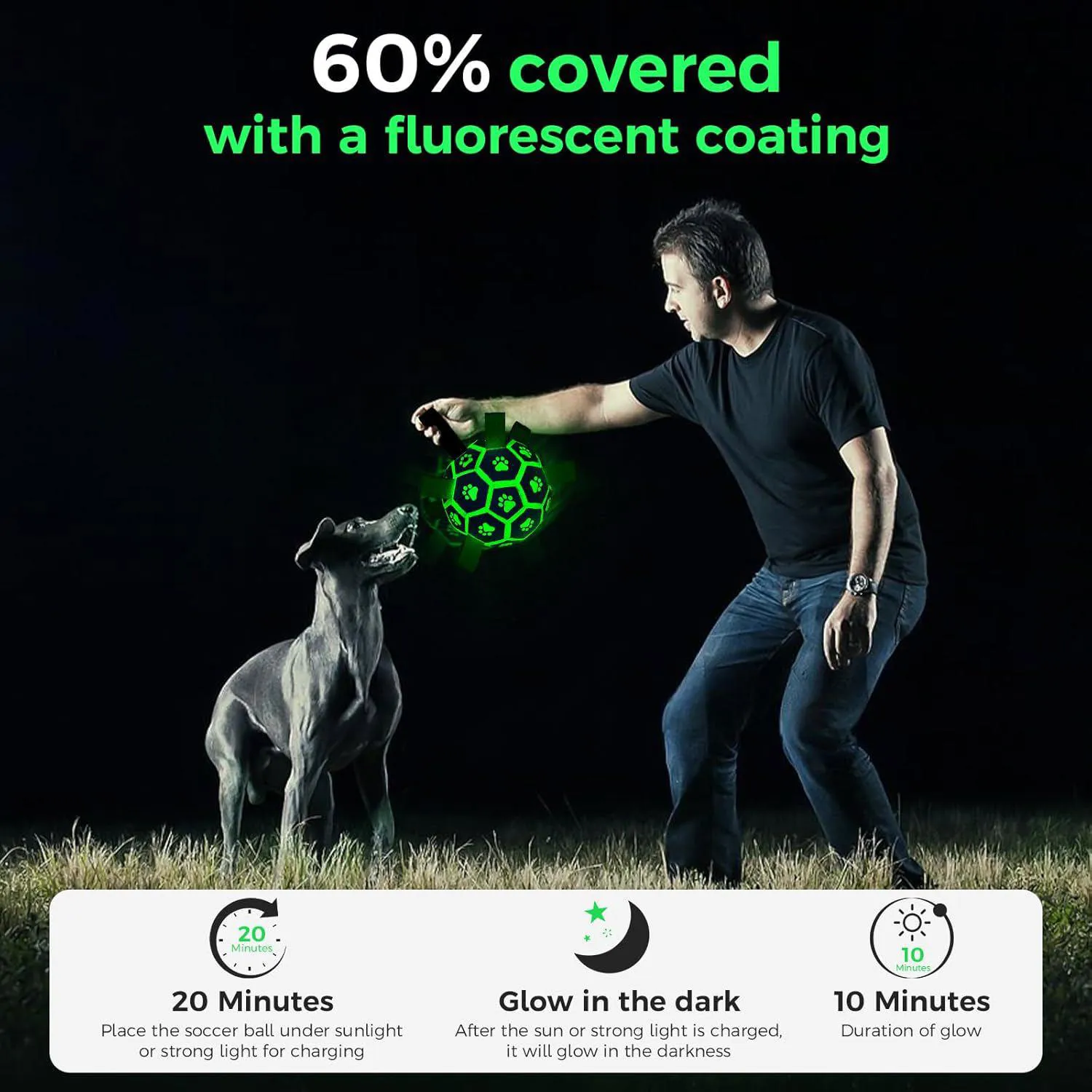 Pelota De Fútbol Para Perros Que Brilla En La Oscuridad Con Correas QDAN