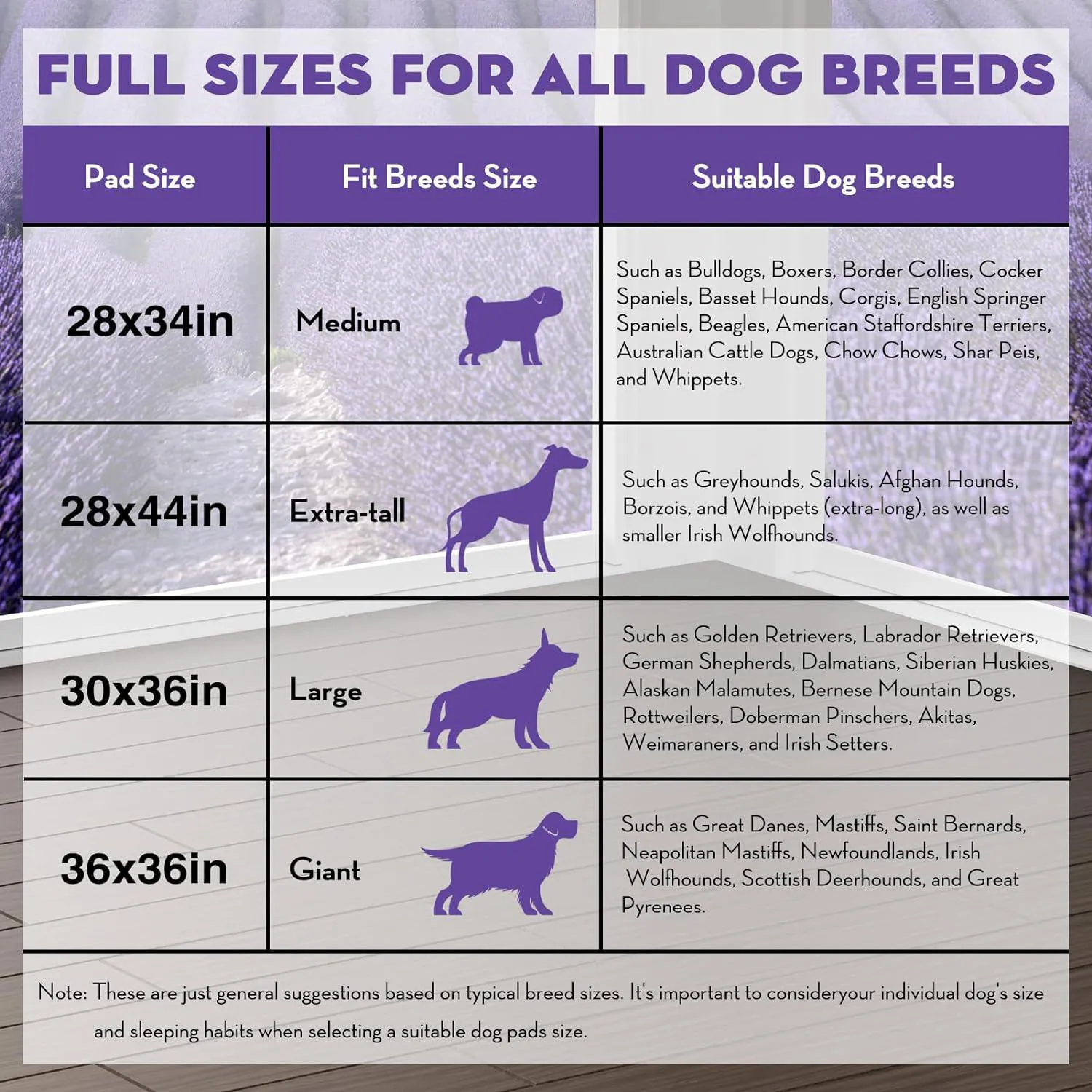 Almohadillas XL Para Cachorros Con Pestañas Adhesivas Y Alta Absorción 6