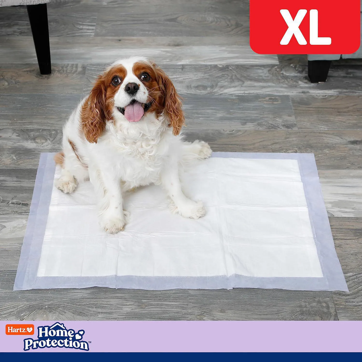 Almohadillas Perfumadas Para Perros Con Tecnología Antifugas Y Aroma A Lavanda 6