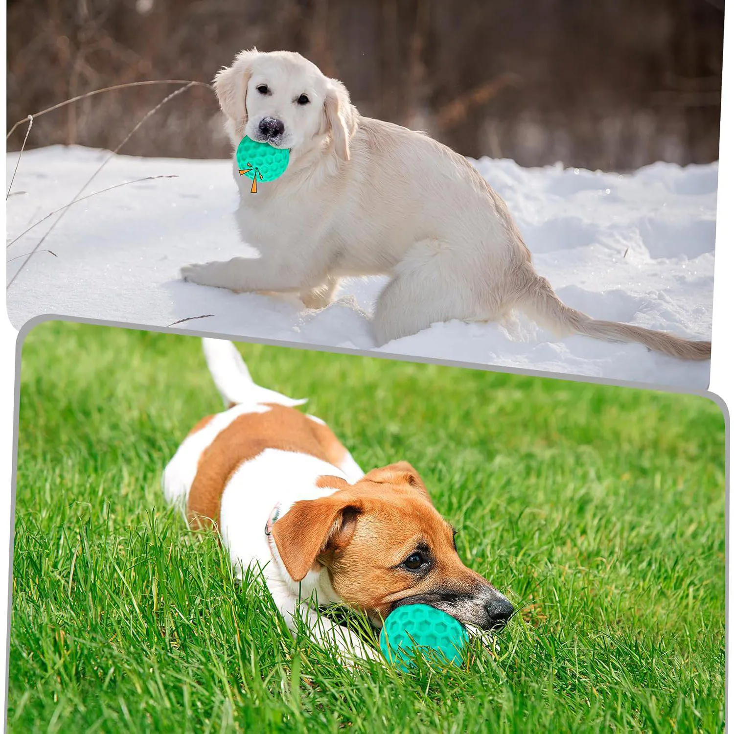Pelota Chirriante Para Perros Masticadores Agresivos Resistente Y Flotante 4