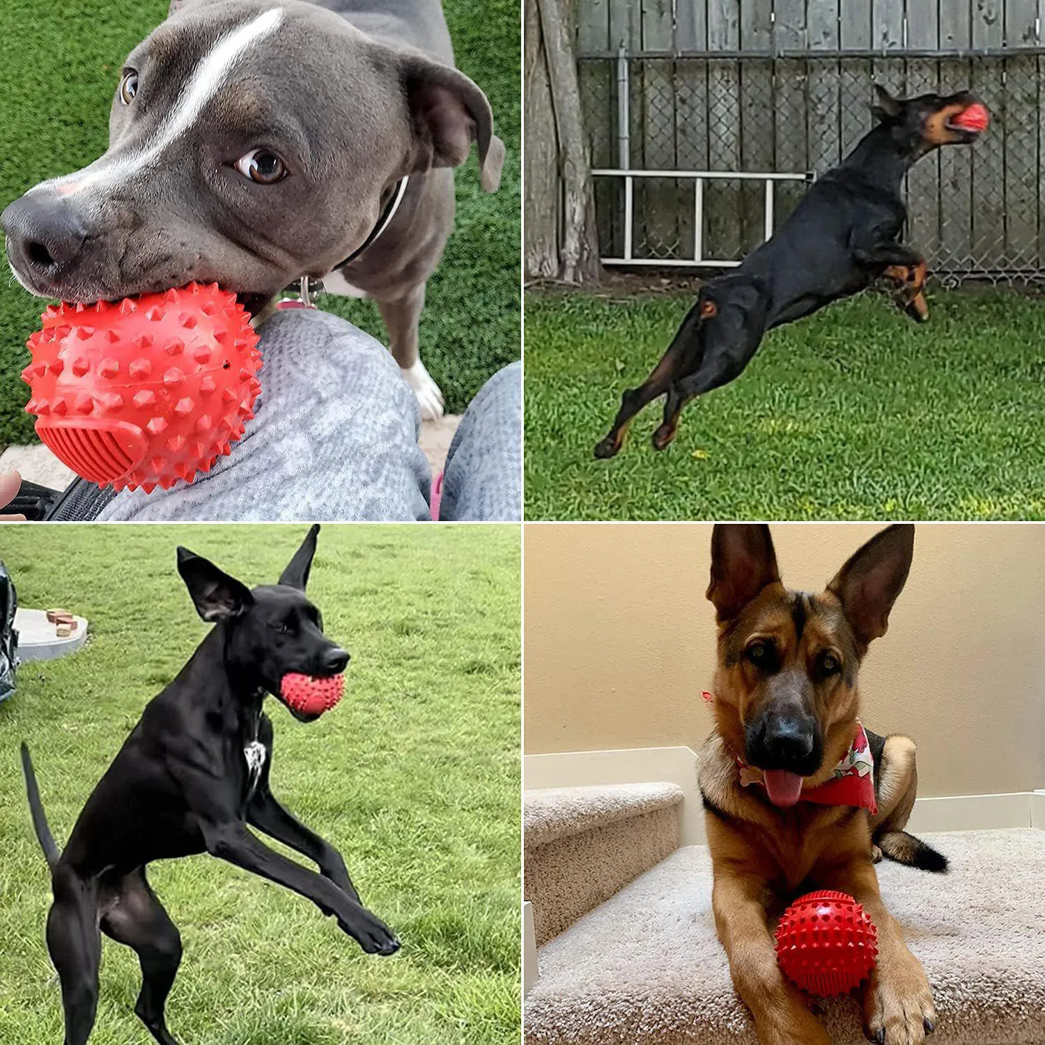 Pelota Chirriante Para Perros Resistente Con Sabor A Carne Ideal Para Masticadores