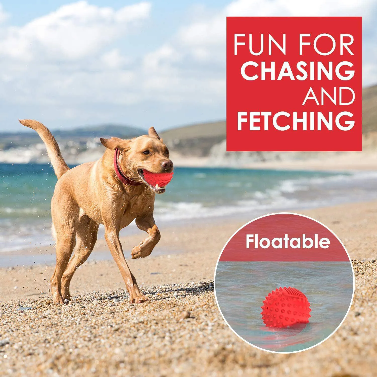 Pelota Chirriante Para Perros Resistente Con Sabor A Carne Ideal Para Masticadores 4