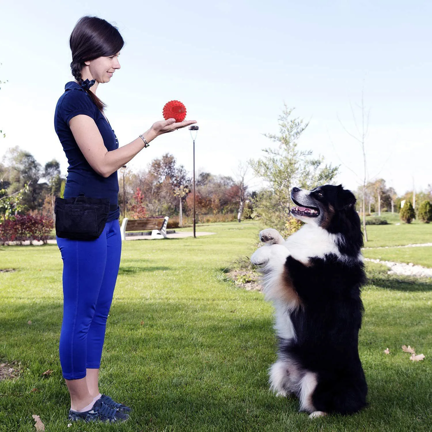 Pelota Chirriante Para Perros Resistente Con Sabor A Carne Ideal Para Masticadores 6
