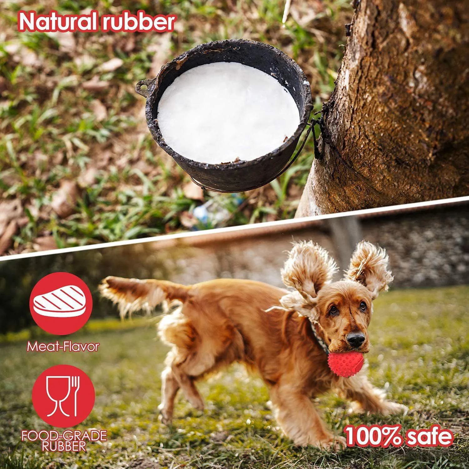 Pelota Chirriante Para Perros Resistente Con Sabor A Carne Ideal Para Masticadores 7