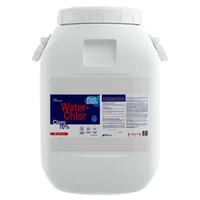 Cloro 67 Granulado 70% X 40 kg Waterchlor