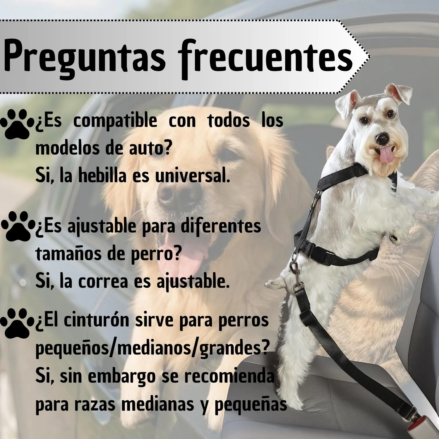 Cinturón de Seguridad para Auto Mascotas Azul 7
