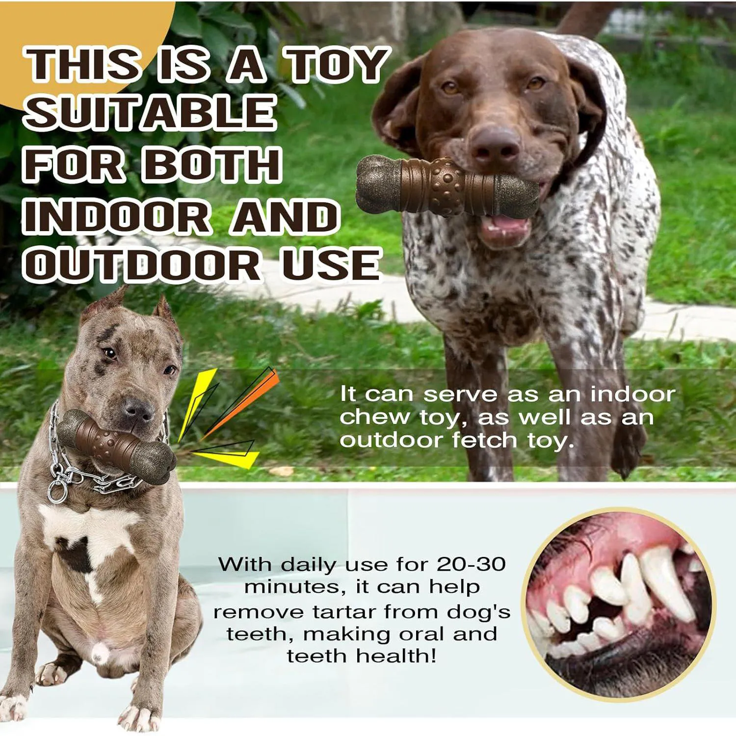 Juguete Masticable Para Perros Resistente Con Sonido Chirriante Que Limpia Dientes 6