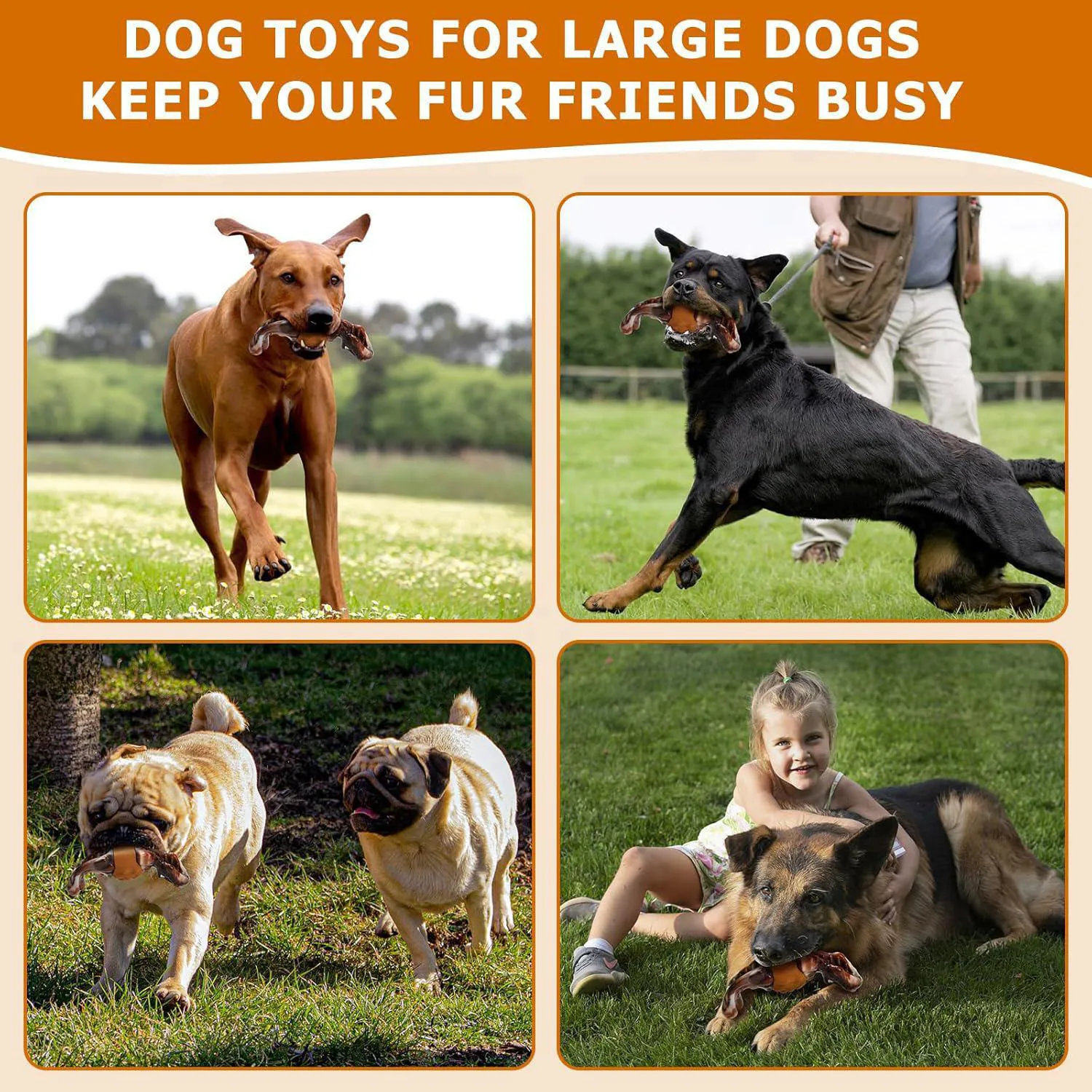 Pelota Resistente Para Perros Con Sabor A Tocino Ideal Para Masticadores Agresivos 6
