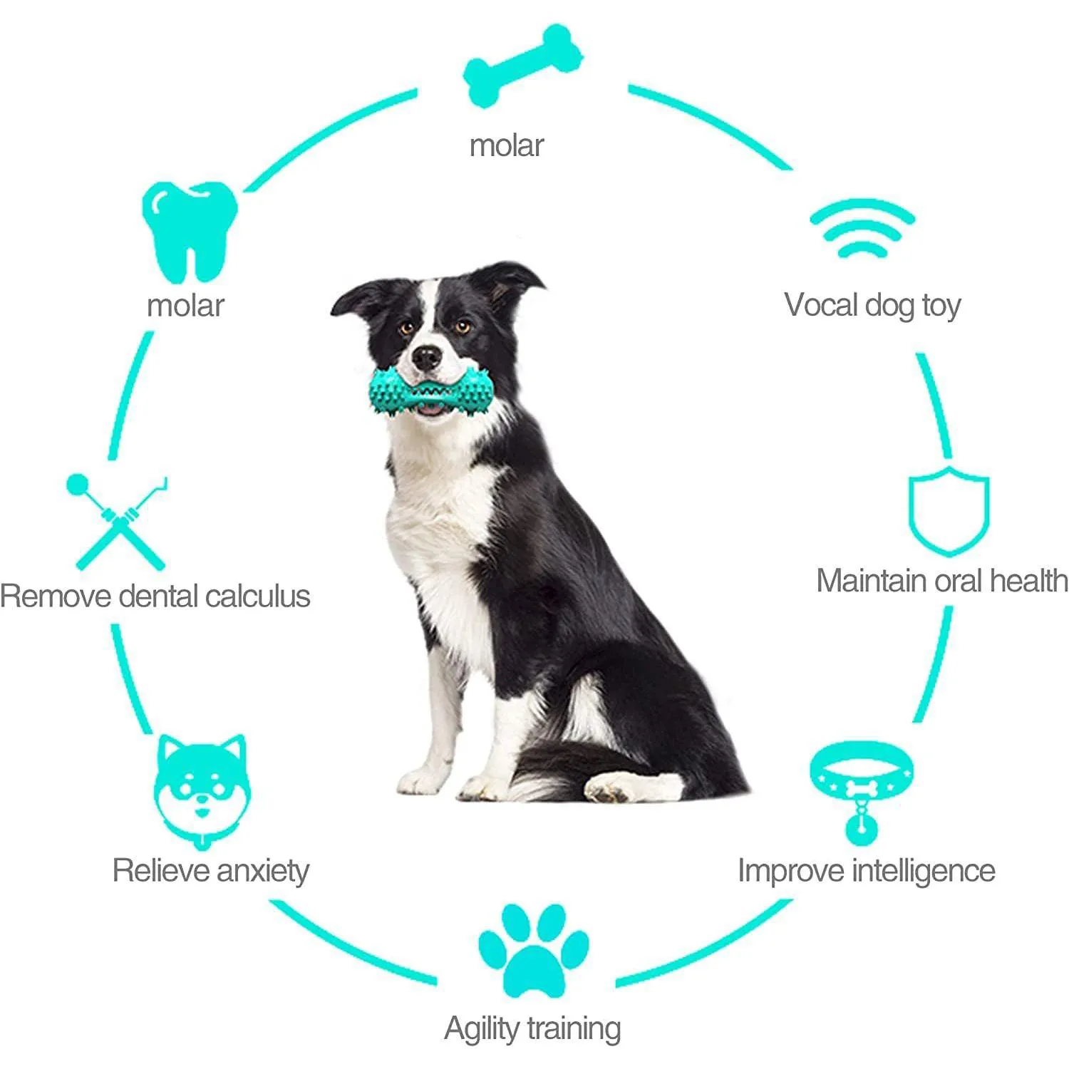 Juguete Masticable Para Perros Con Diseño De Cepillo Dental Para Limpieza Bucal 6
