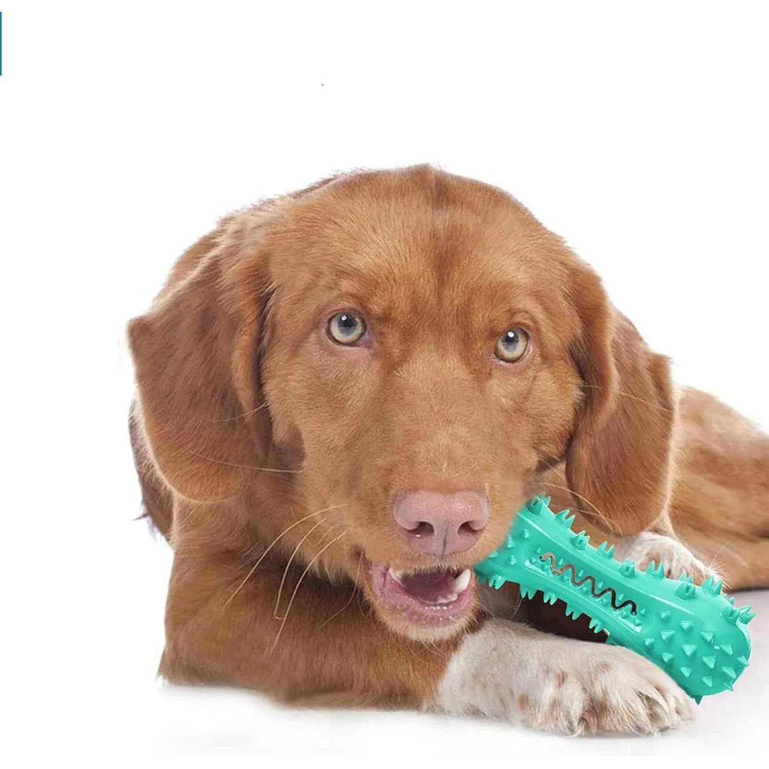 Juguete Masticable Para Perros Con Diseño De Cepillo Dental Para Limpieza Bucal 7
