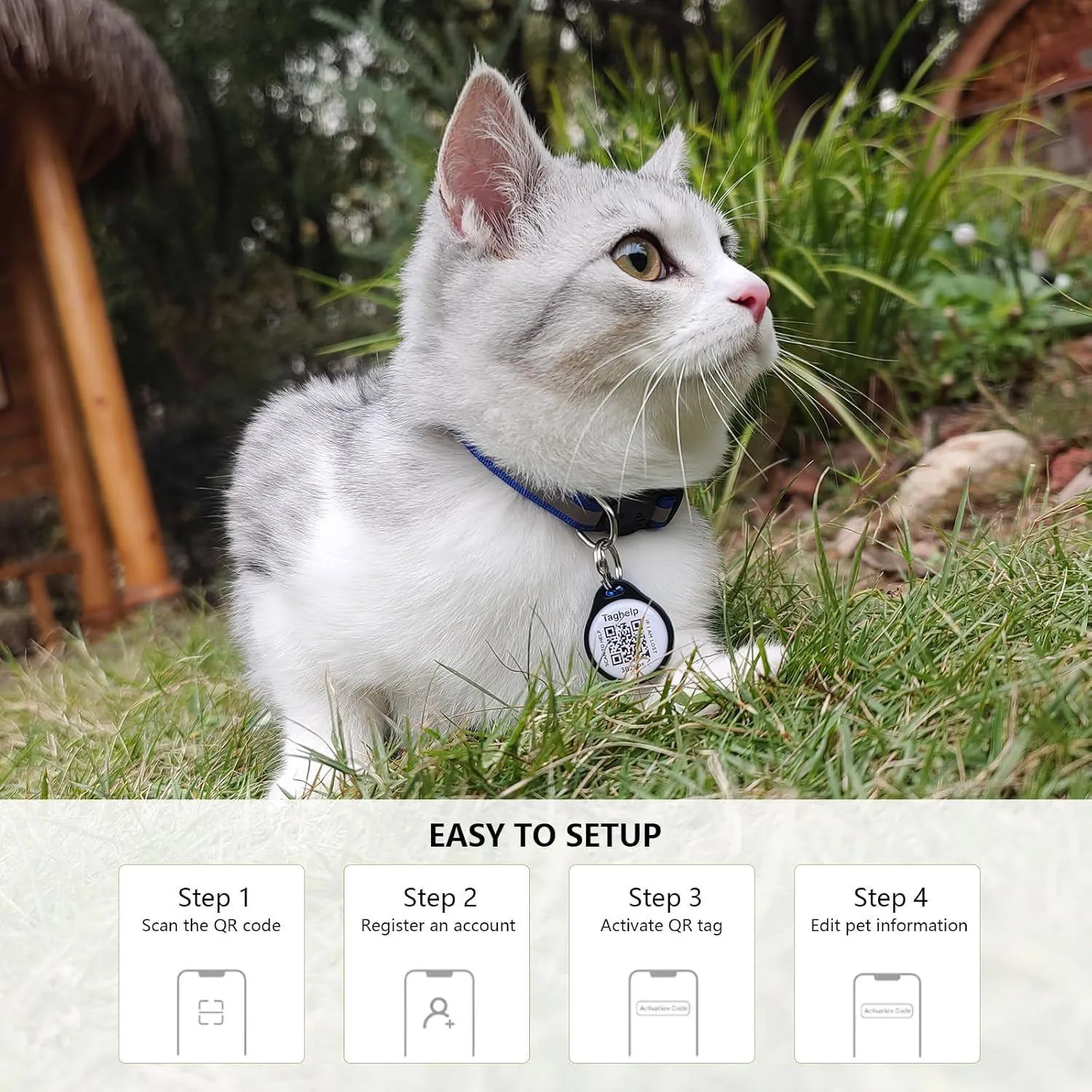 Collar Gato Taghelp Reflectante con Chapita QR de Identificación Segura 5