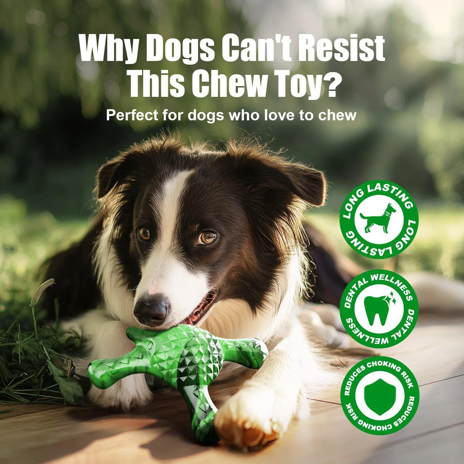 Juguete Masticable para Perros Pequeños de Nailon con Sabor a Tocino y Diseño Erizo