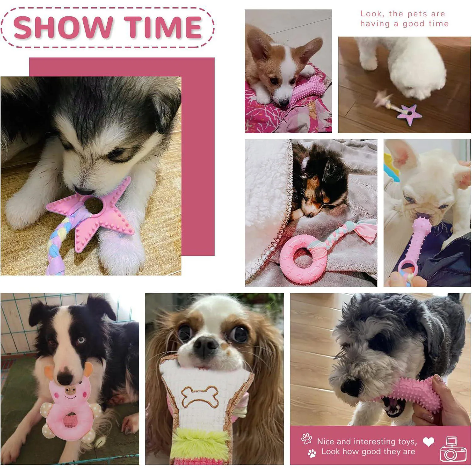 Set de Juguetes para Cachorros Paquete de 6 Masticables para Dentición y Limpieza Dental 3