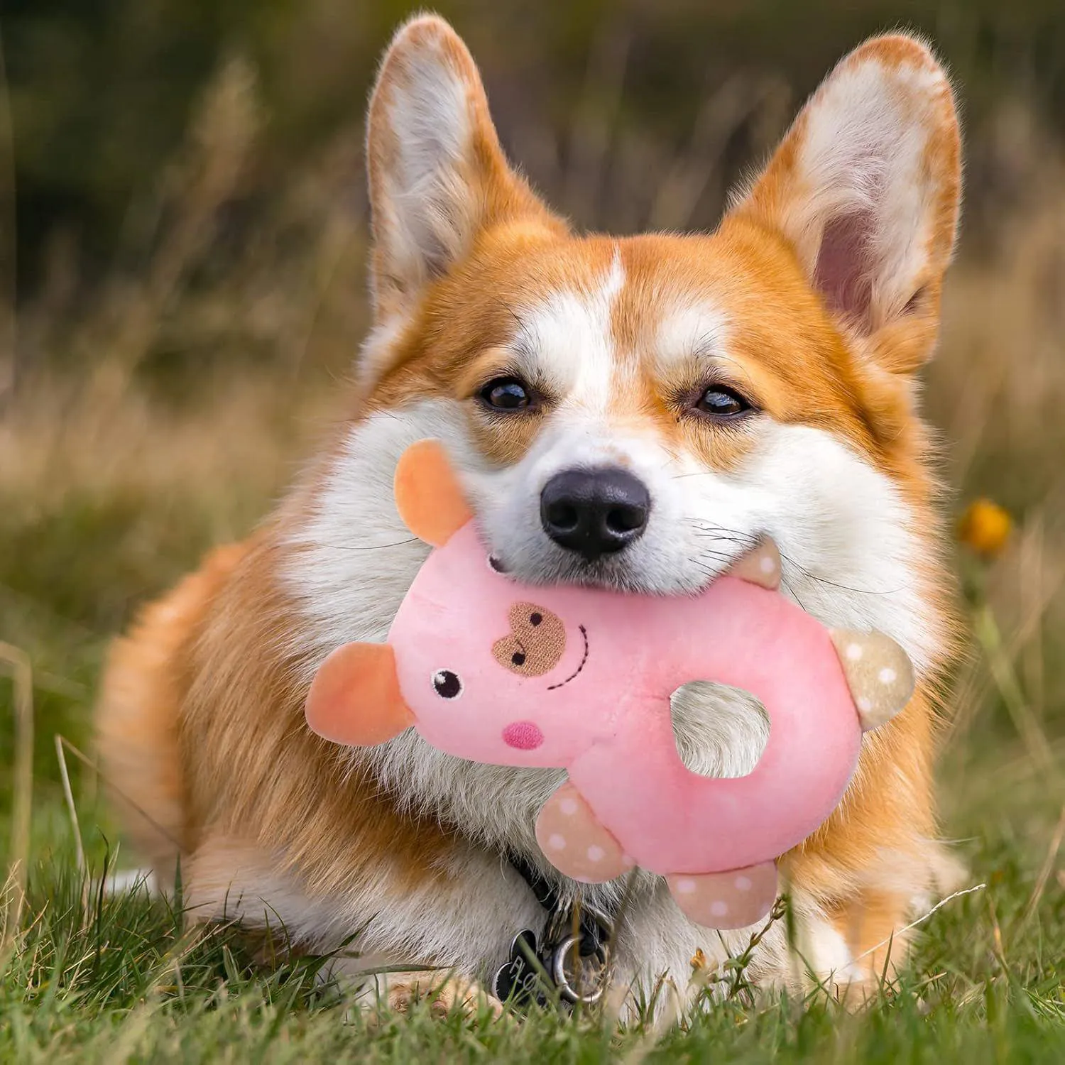 Set de Juguetes para Cachorros Paquete de 6 Masticables para Dentición y Limpieza Dental 8