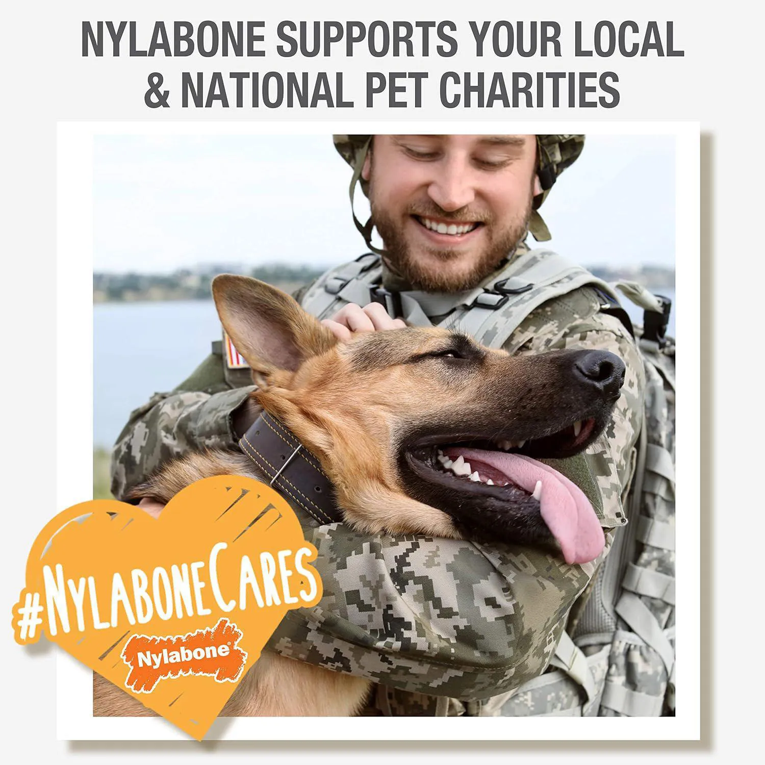 Hueso Nylabone Para Perros Con Mordida Fuerte Y Textura Dental De Alto Impacto 6