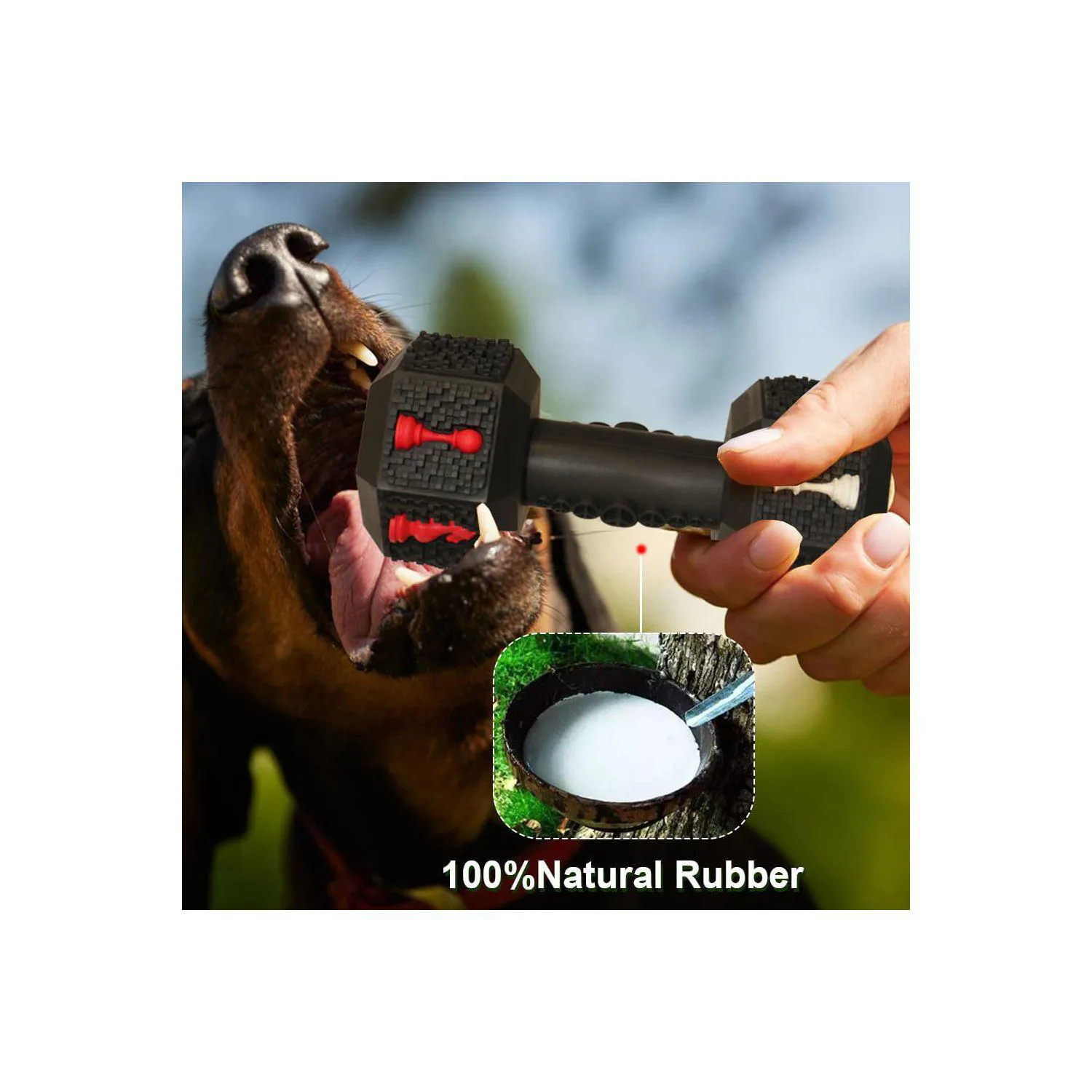 Juguete Masticable Para Perros Con Diseño De Mancuerna Y Sabor A Piña 4