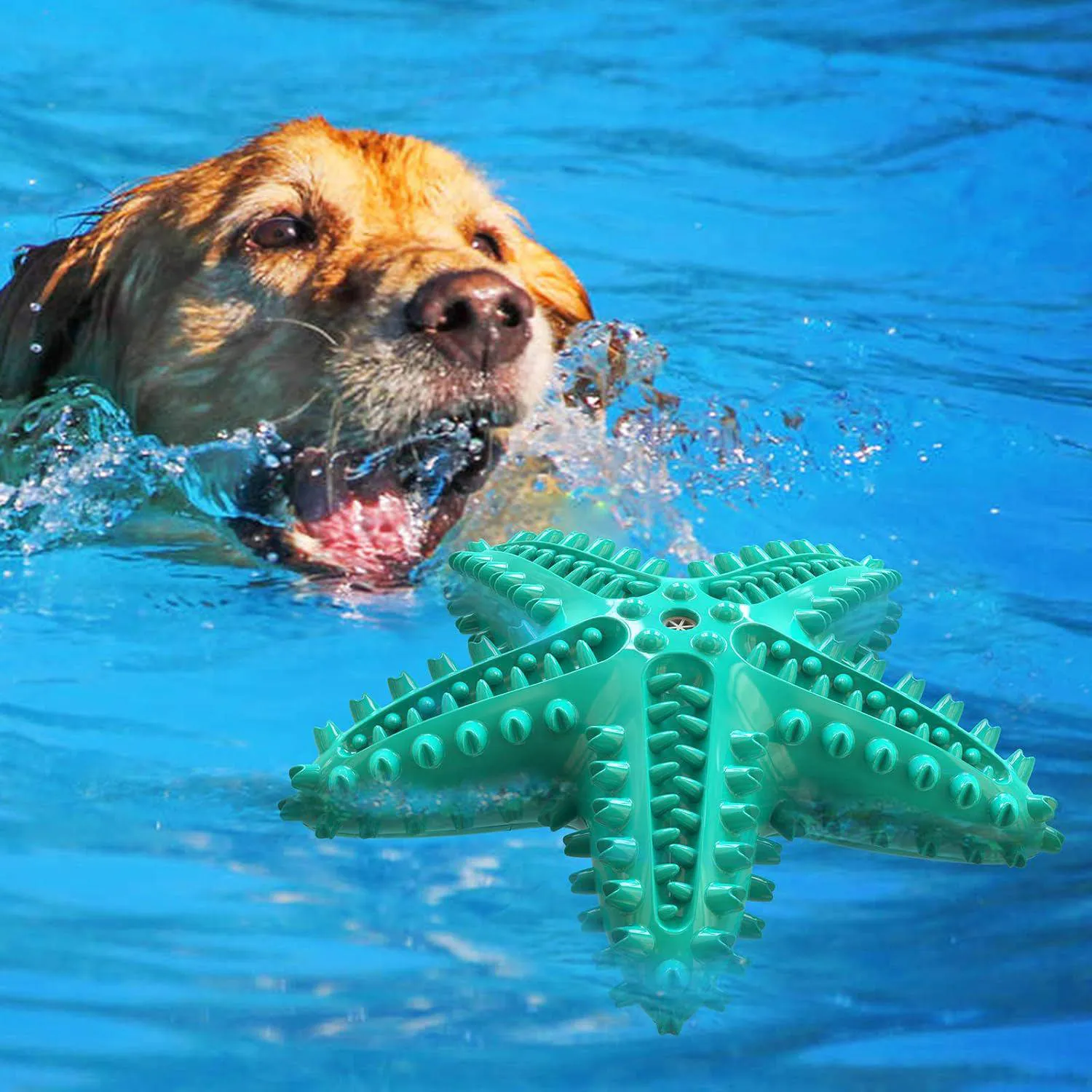 Juguete Interactivo Para Perros Con Cepillo Dental Y Sonido Atractivo 7