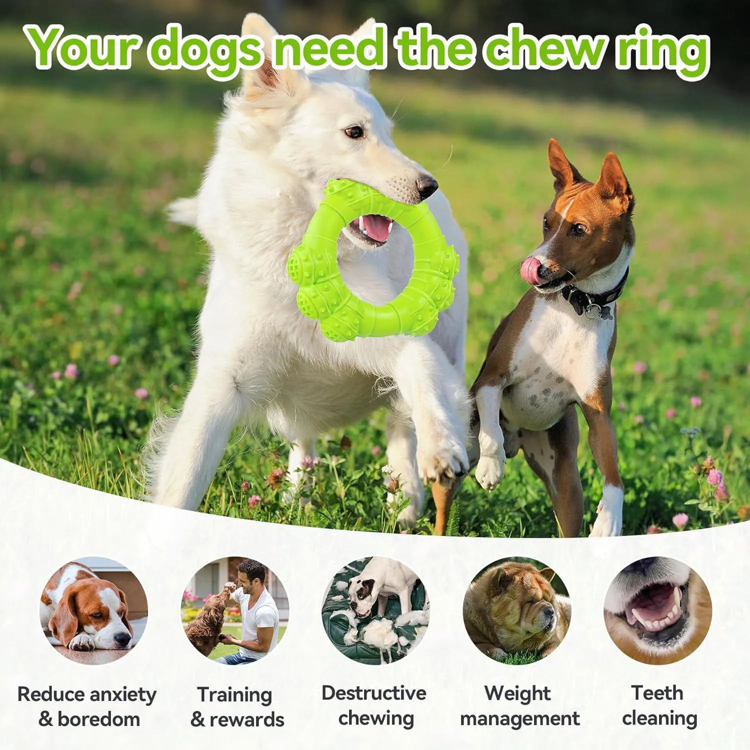 Juguete Interactivo Resistente Para Perros Masticadores Agresivos 5