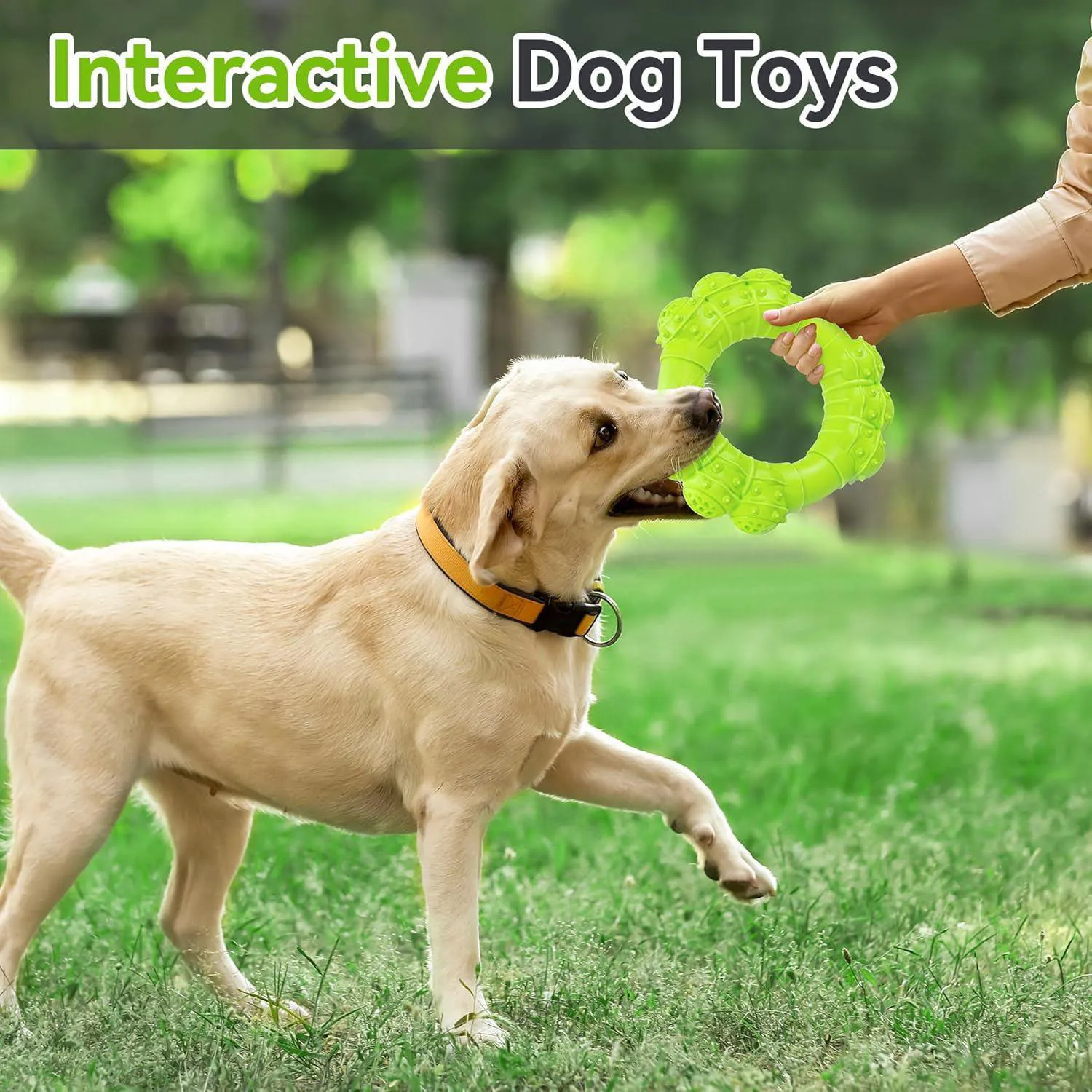 Juguete Interactivo Resistente Para Perros Masticadores Agresivos 7