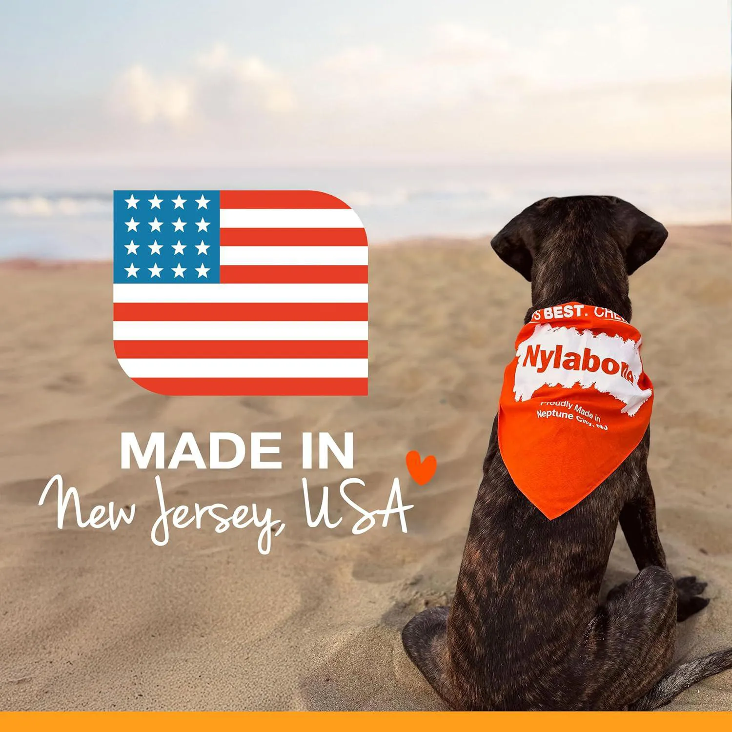 Hueso en Aro para Perros Nylabone Power Chew Sabor Mixto Extra Pequeño 6