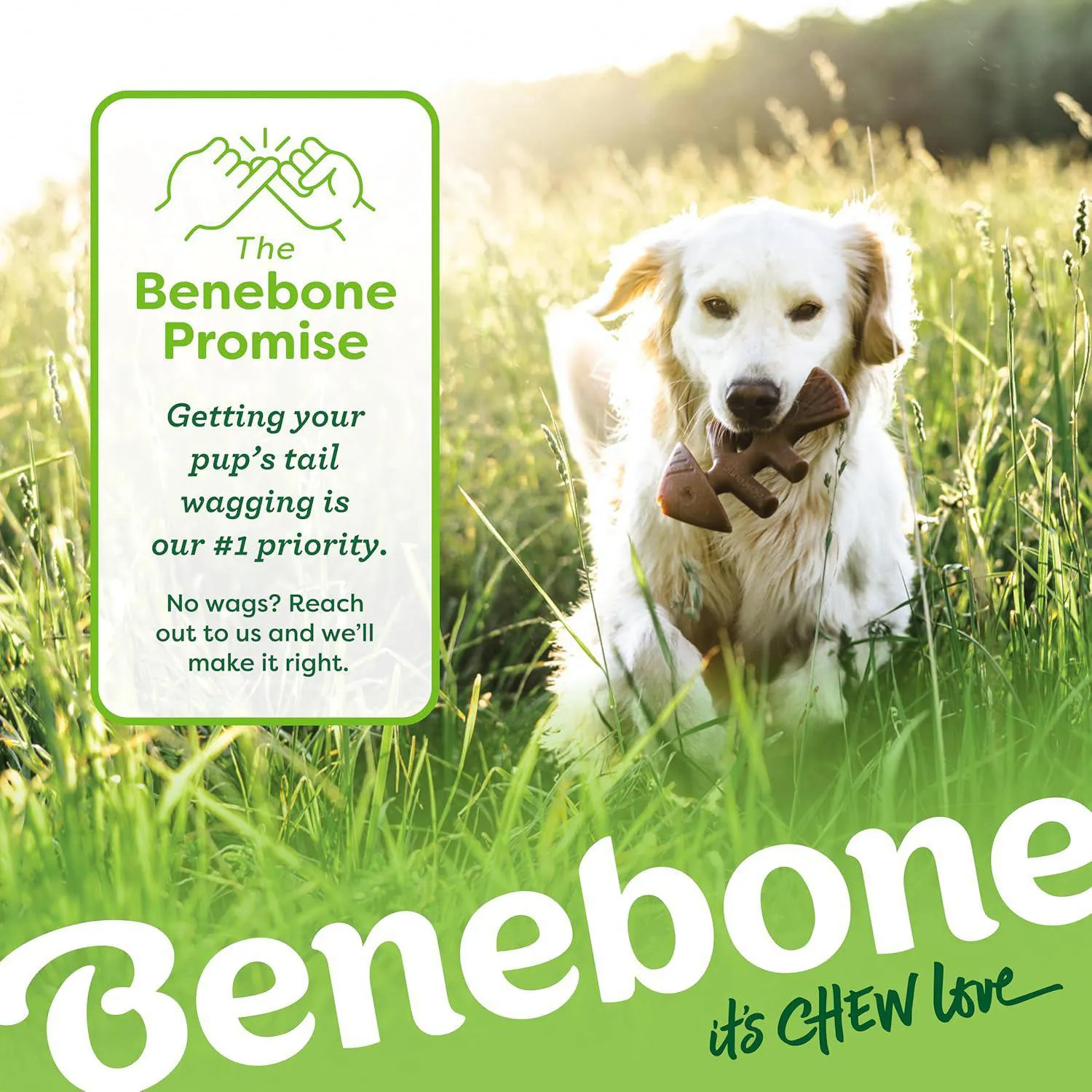 Paquete De Juguetes Benebone Para Perros Con Sabor Real Y Diseño Ergonómico 6