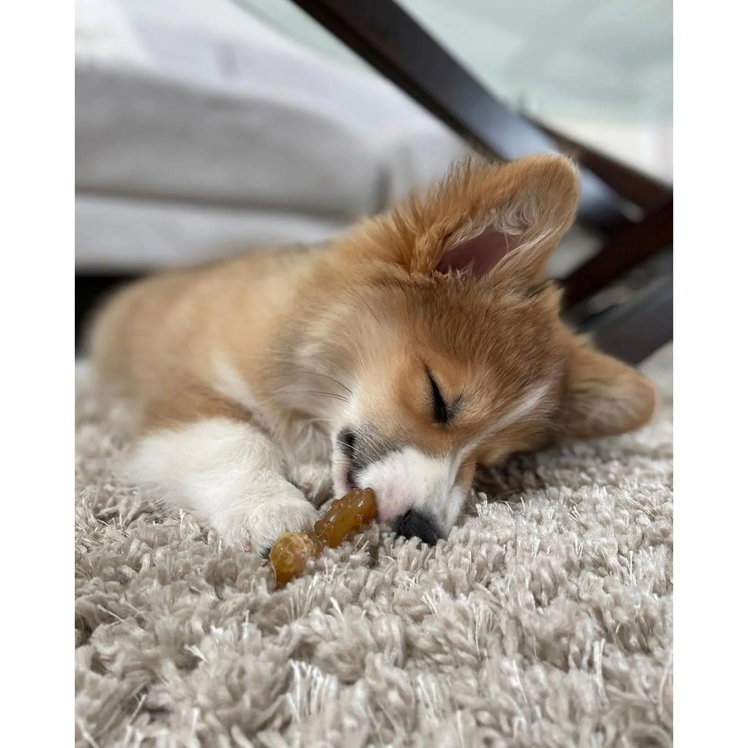 Juguetes para Cachorros Nylabone Ring Bone y Teething Bone Sabor Pollo
