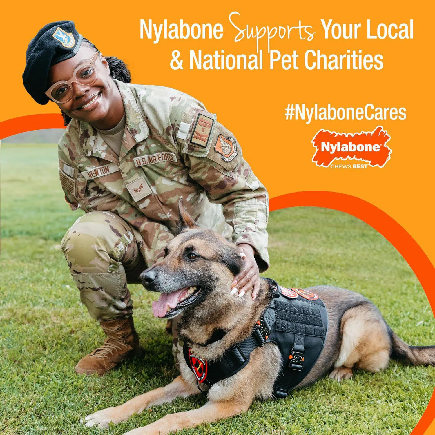 Juguetes para Cachorros Nylabone Ring Bone y Teething Bone Sabor Pollo 7