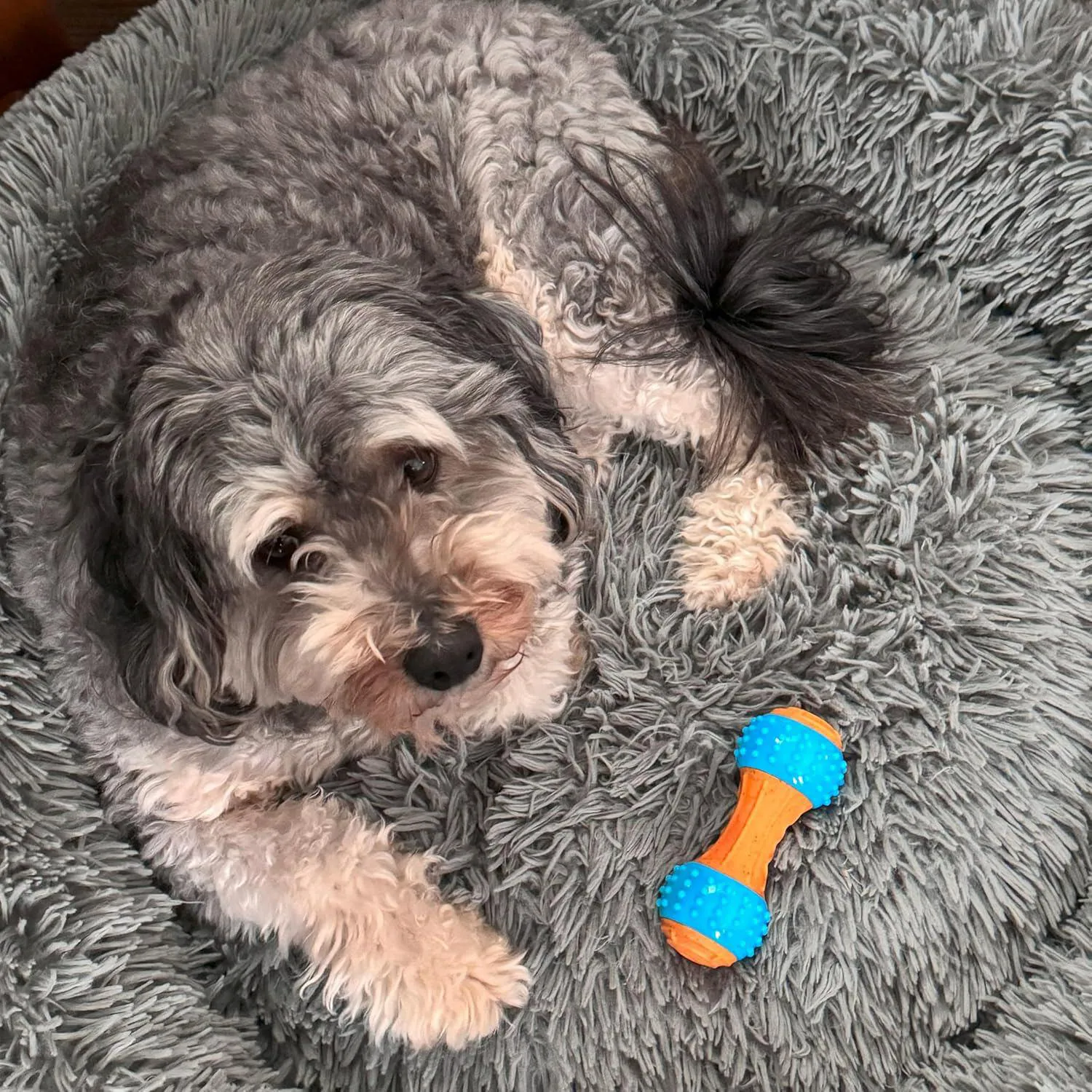 Juguete Masticable De Bambú Y Nailon Para Perros Con Sabor A Mantequilla 4
