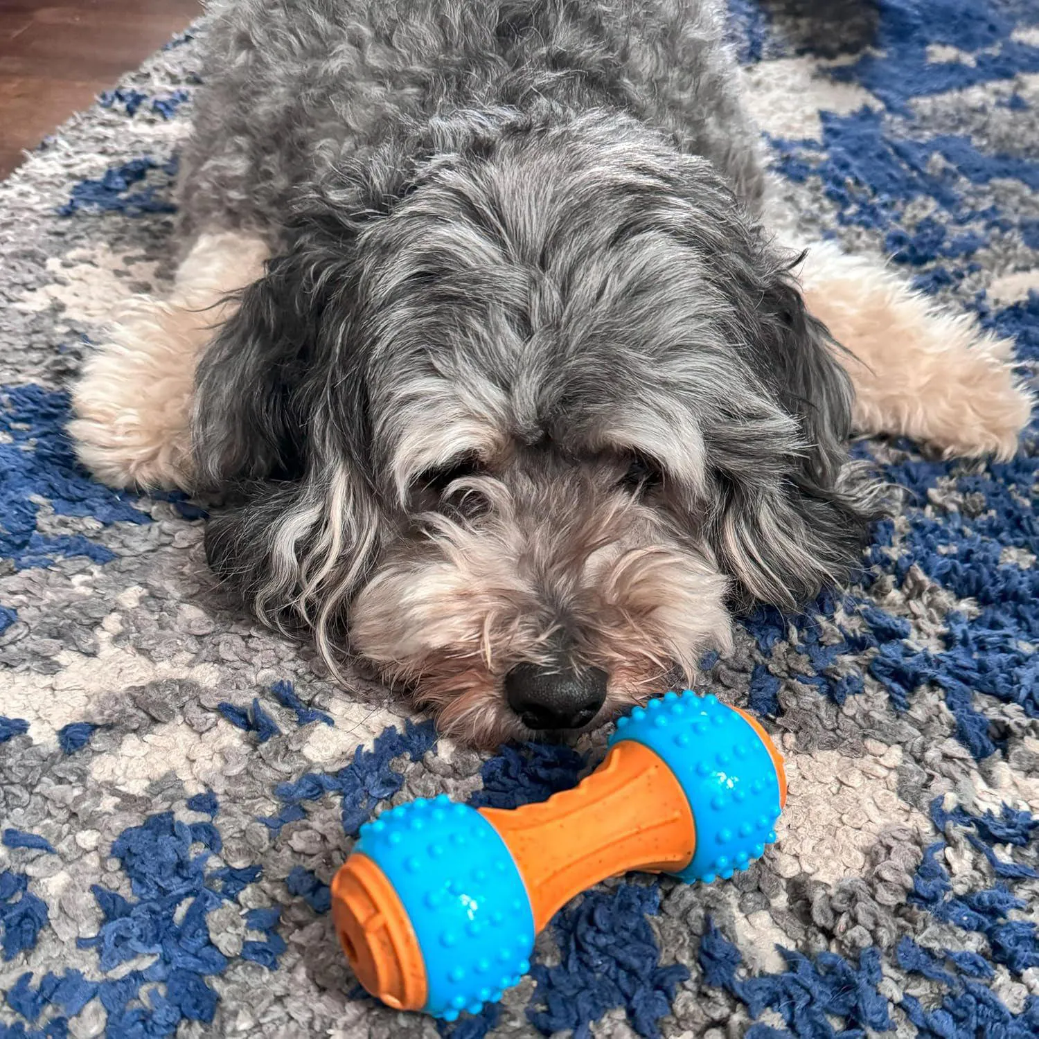 Juguete Masticable De Bambú Y Nailon Para Perros Con Sabor A Mantequilla 5